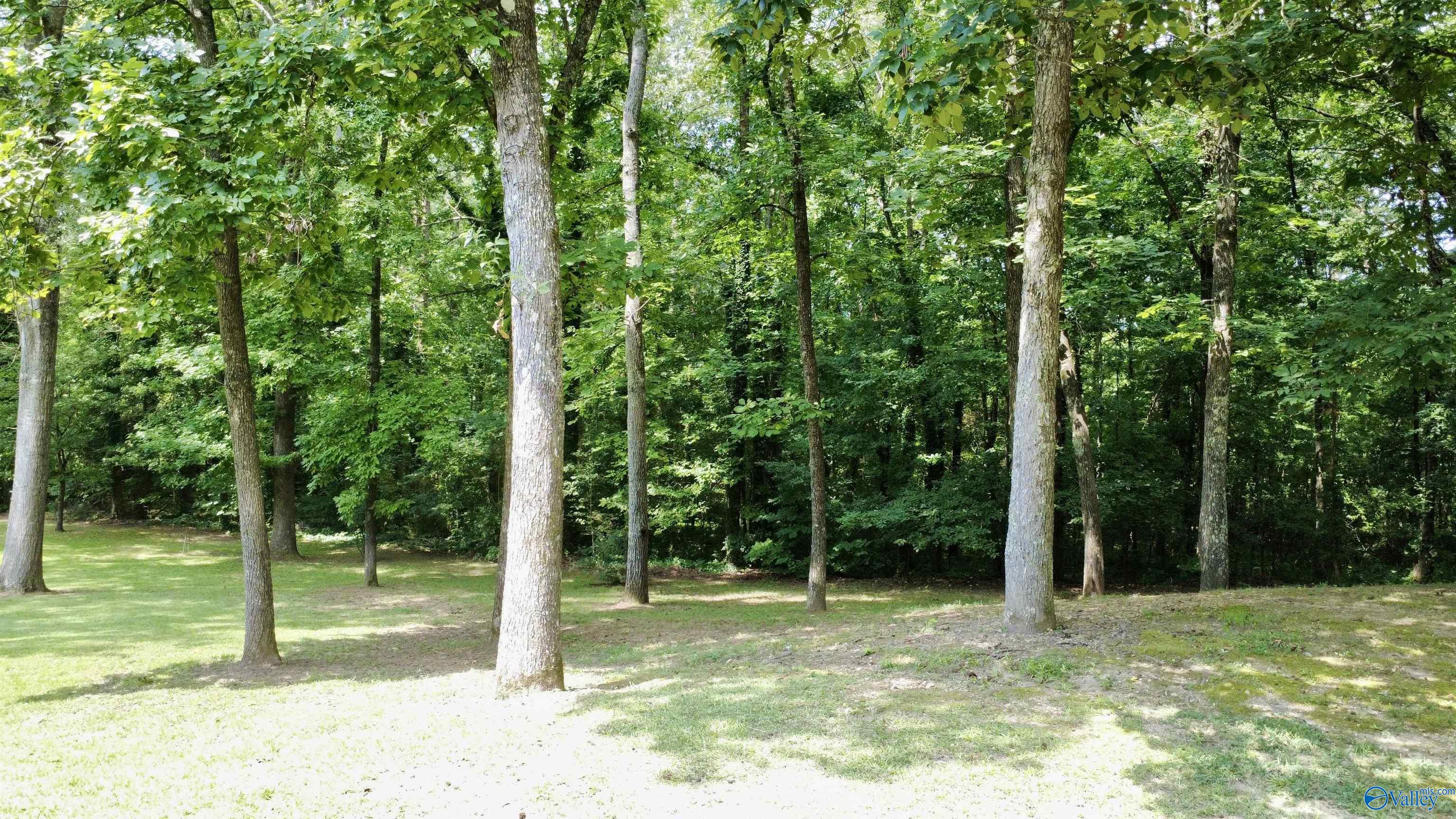 424 Shamrock Lane