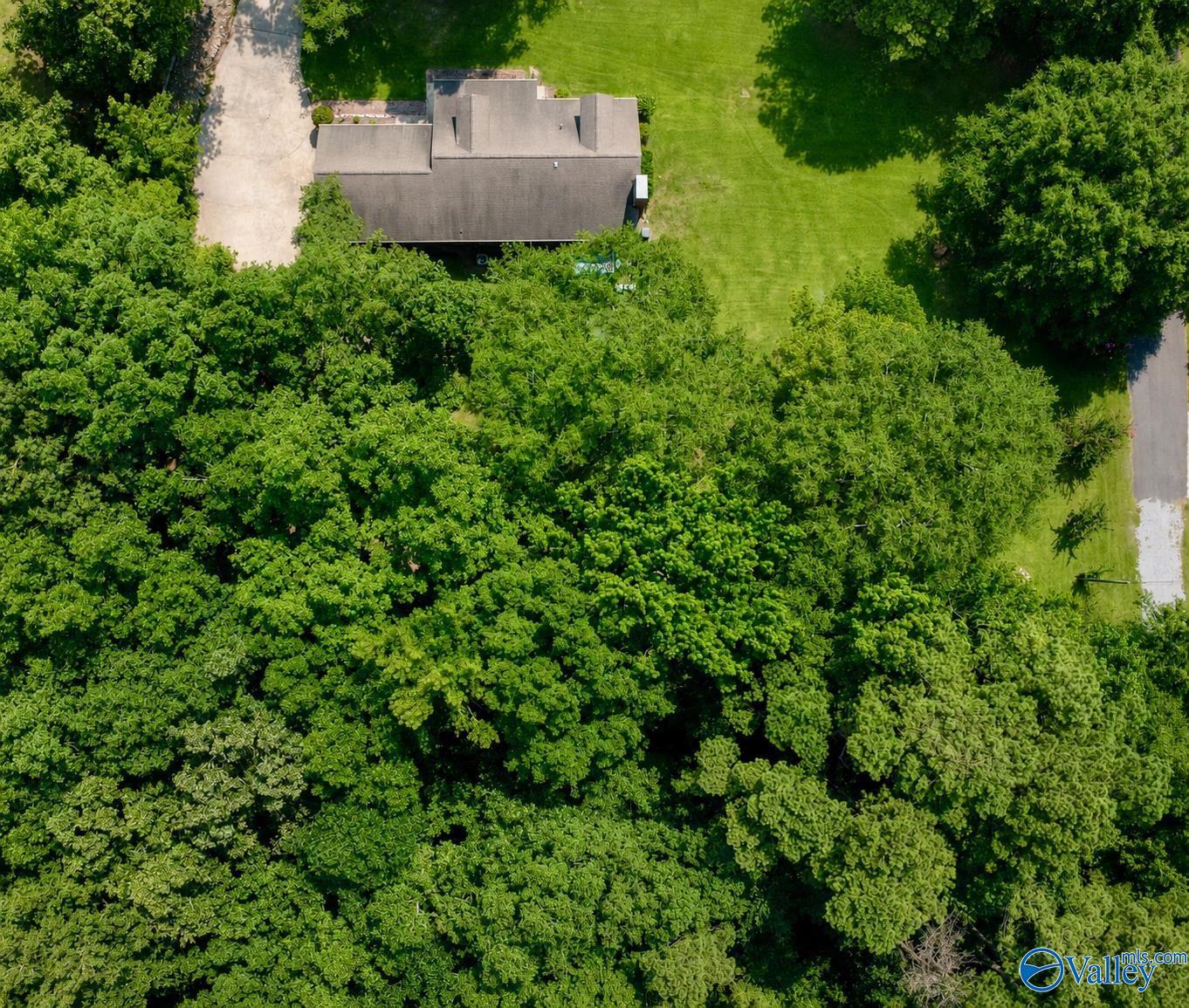 424 Shamrock Lane