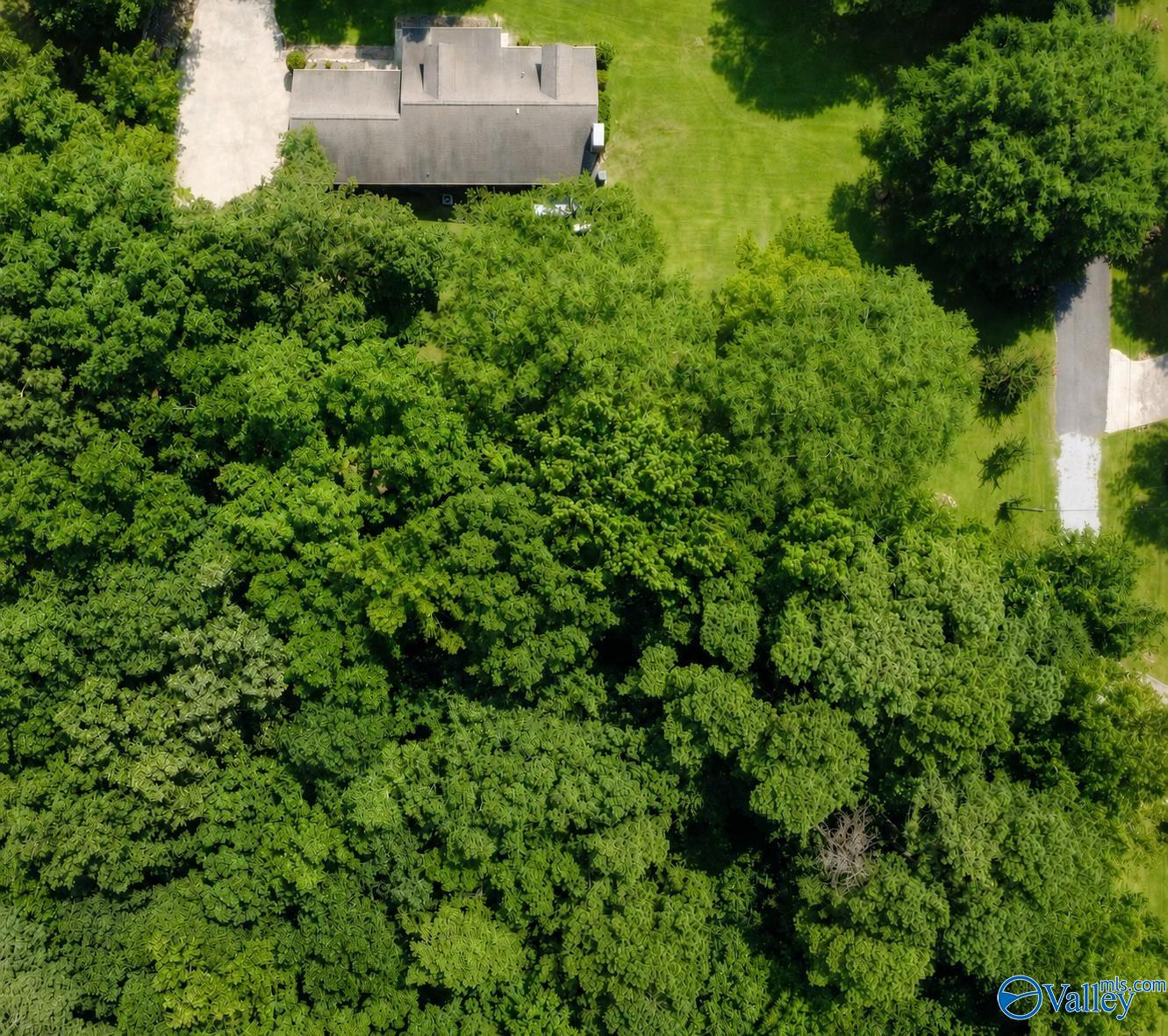 424 Shamrock Lane
