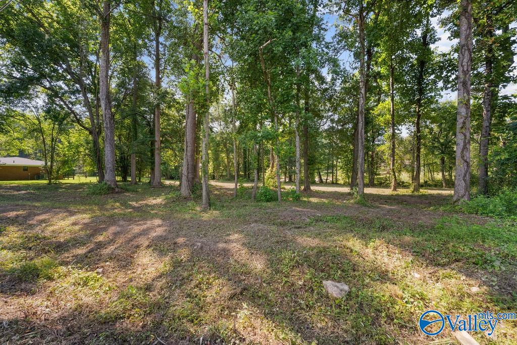 213 Tabor Road
