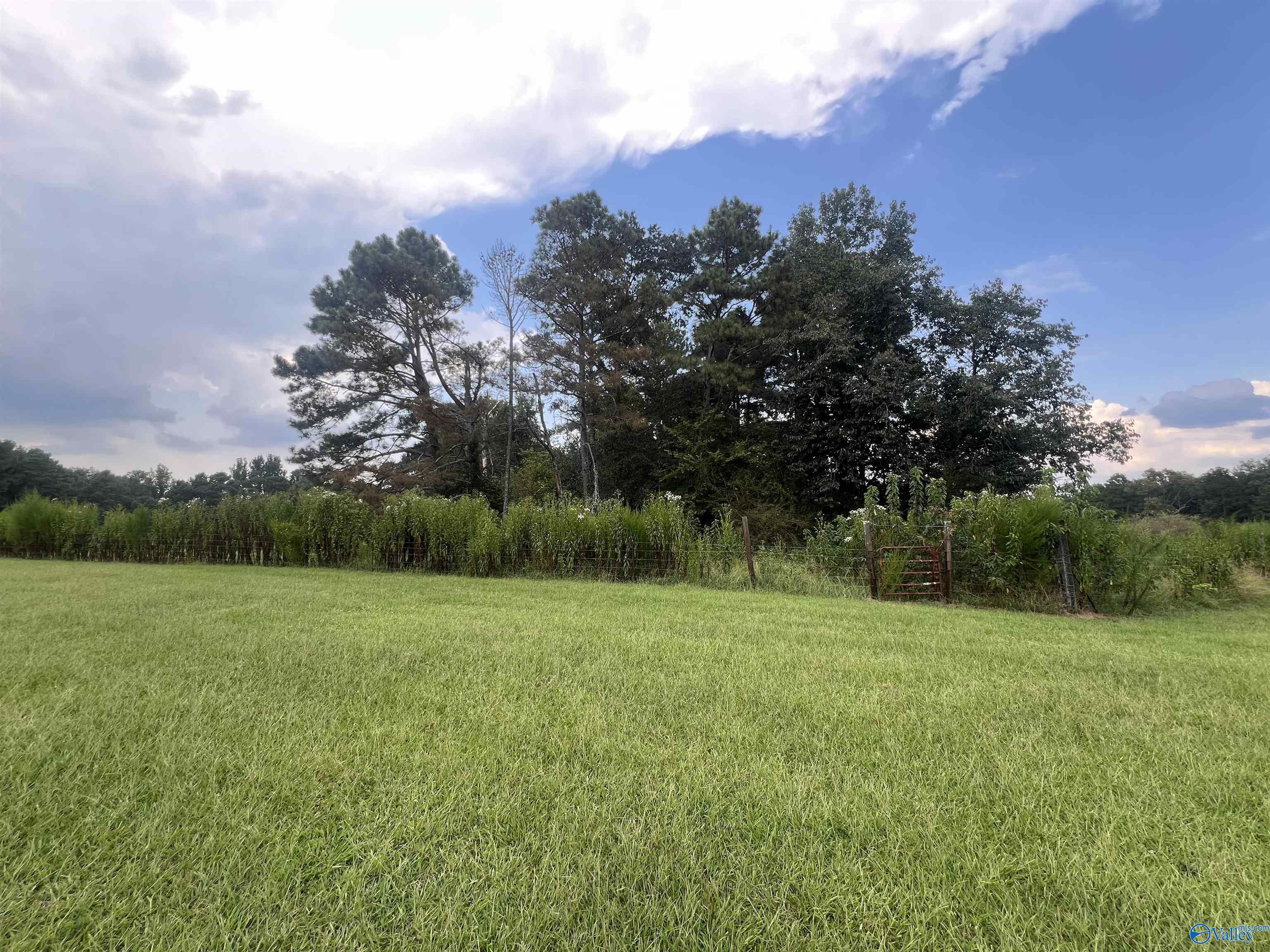 731 Williamsburg Road