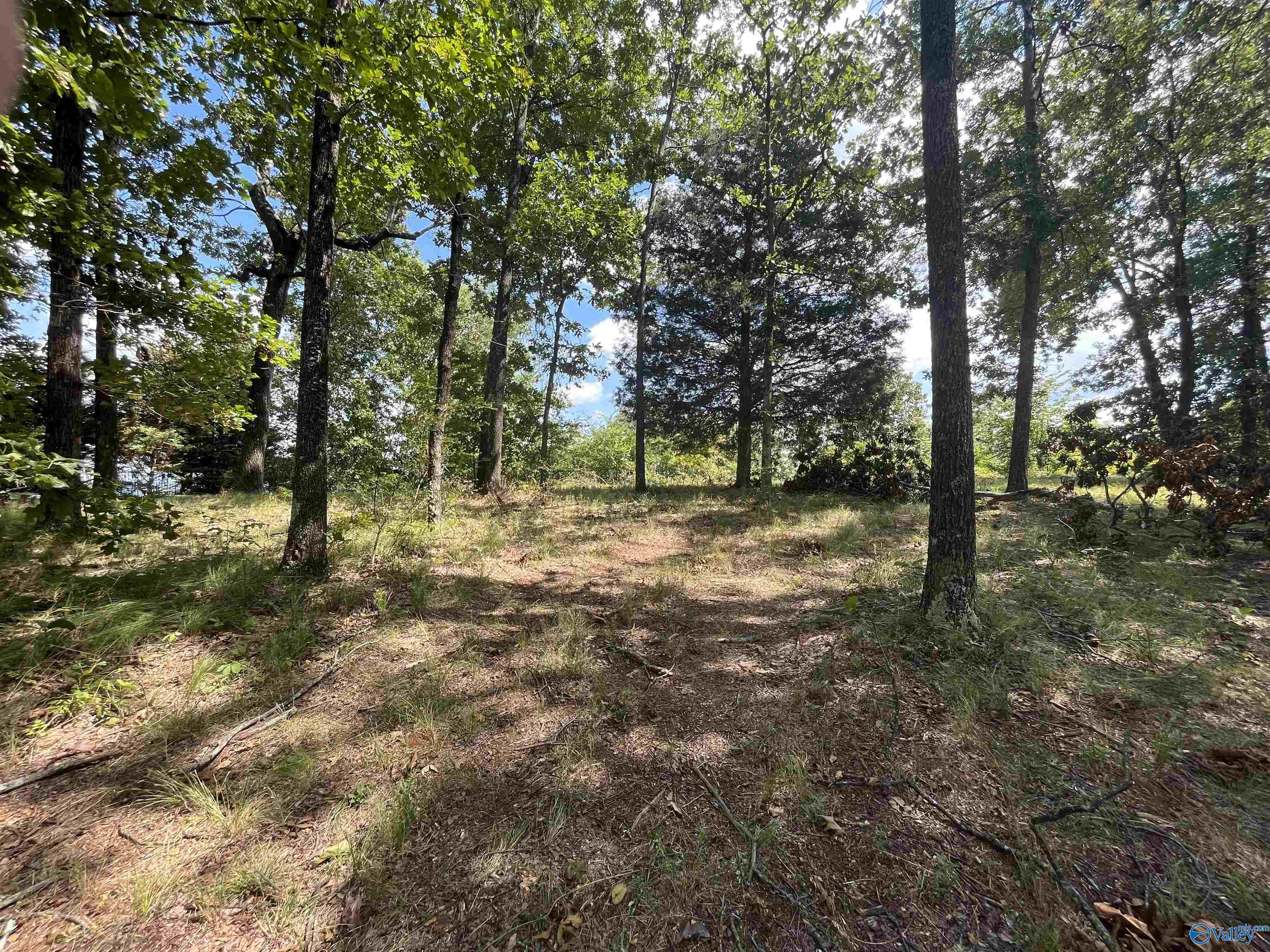 1307 Bellevue Drive