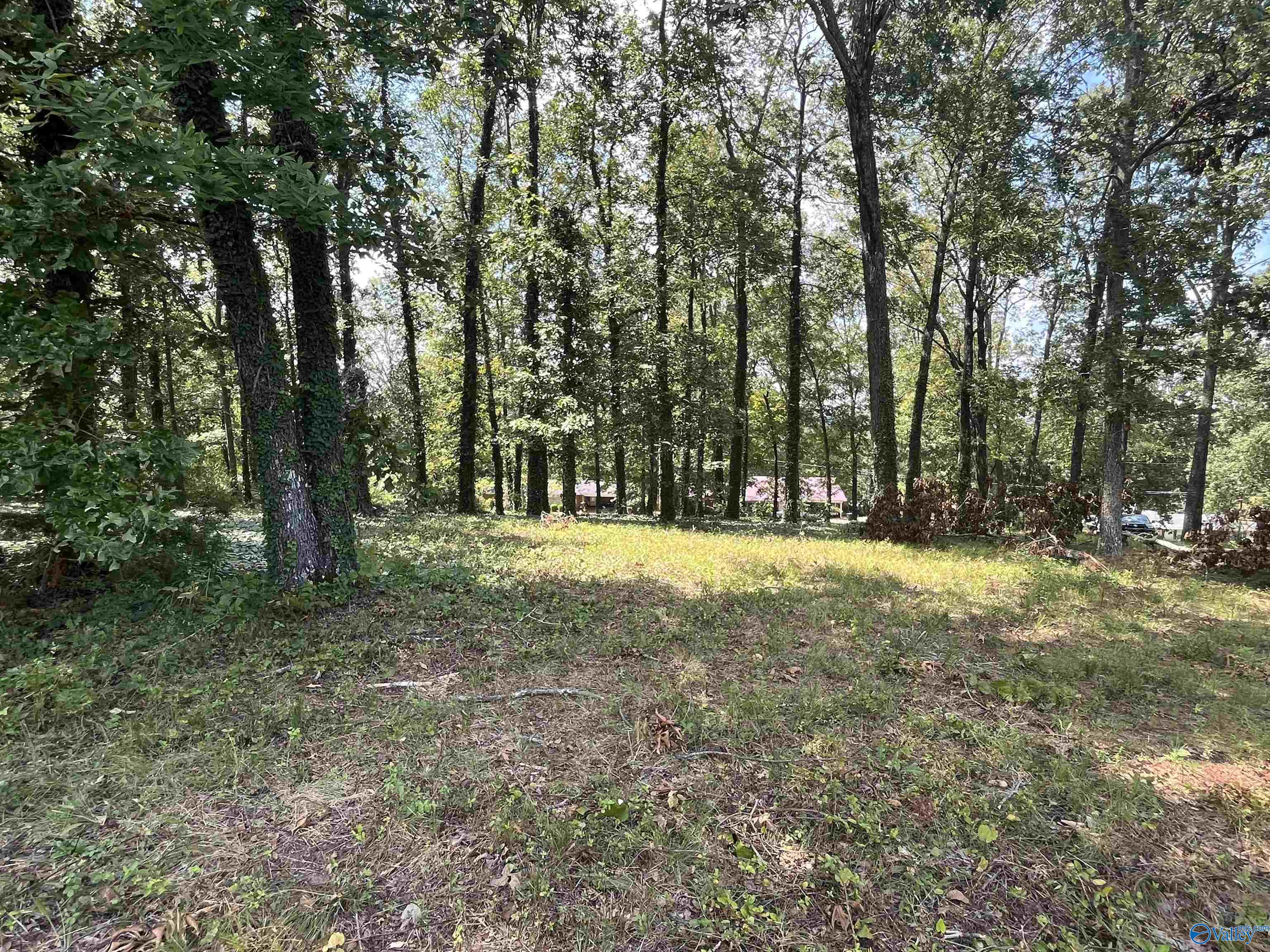 1307 Bellevue Drive