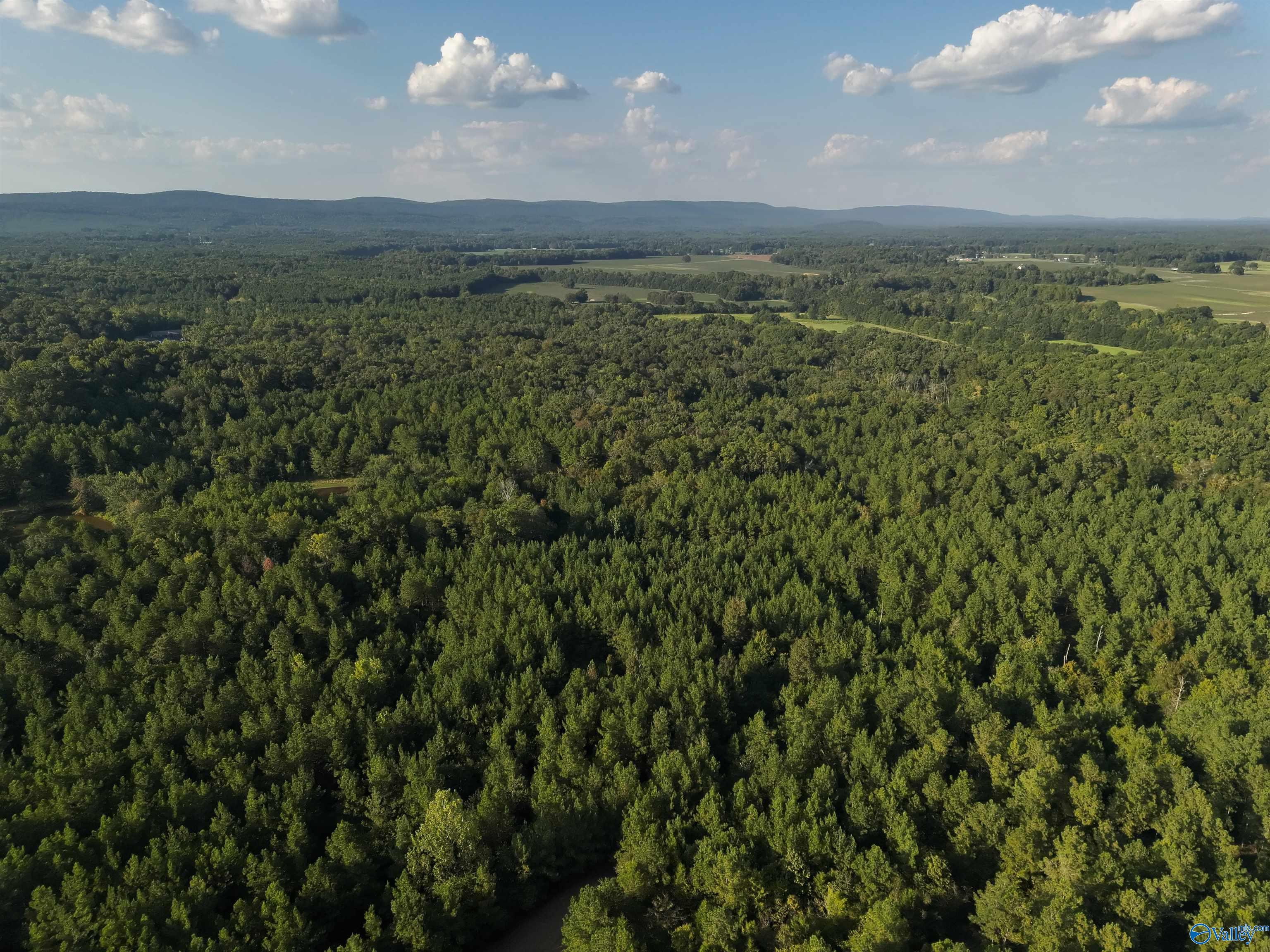 118 AC Pope Road