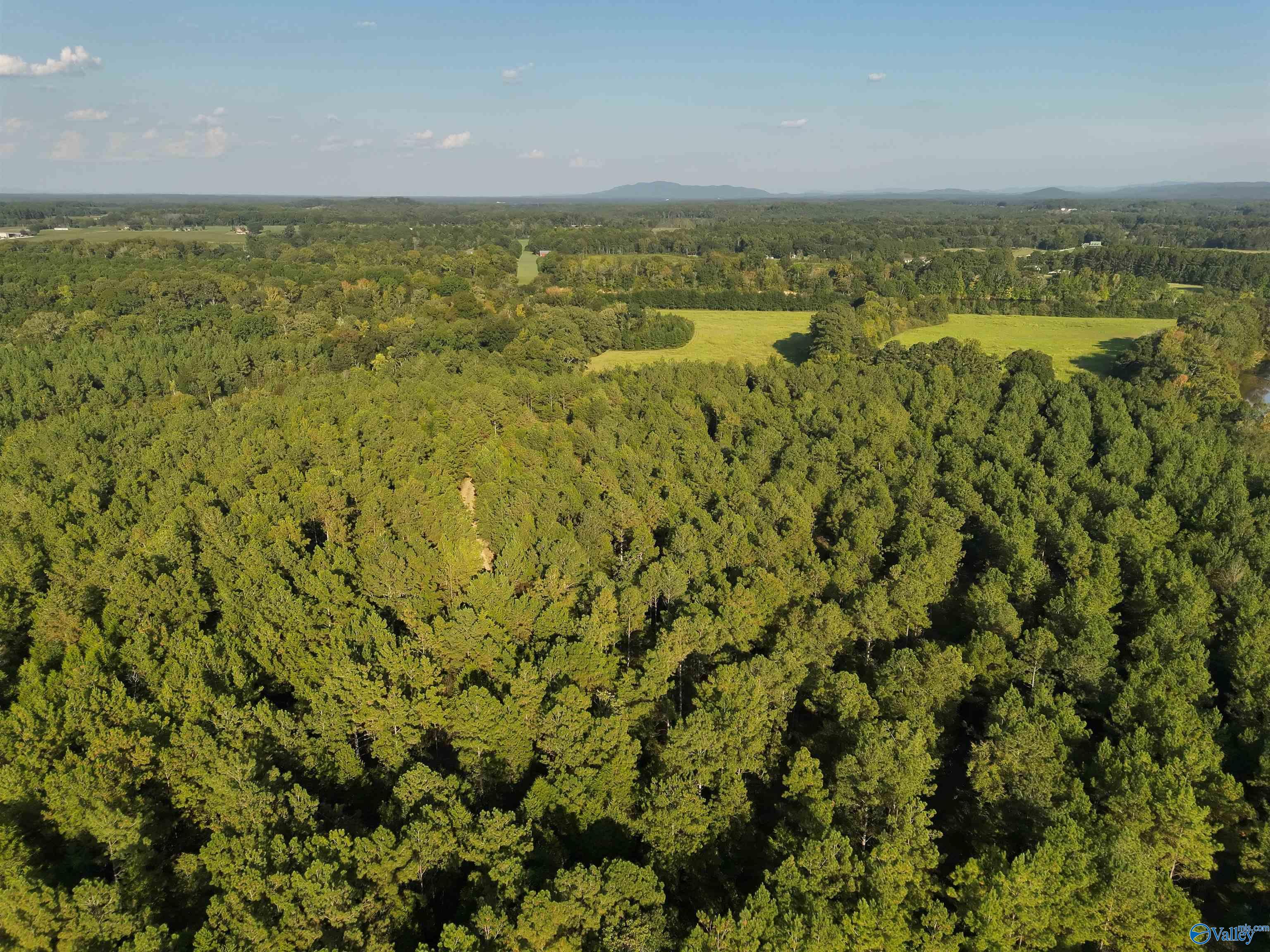 118 AC Pope Road