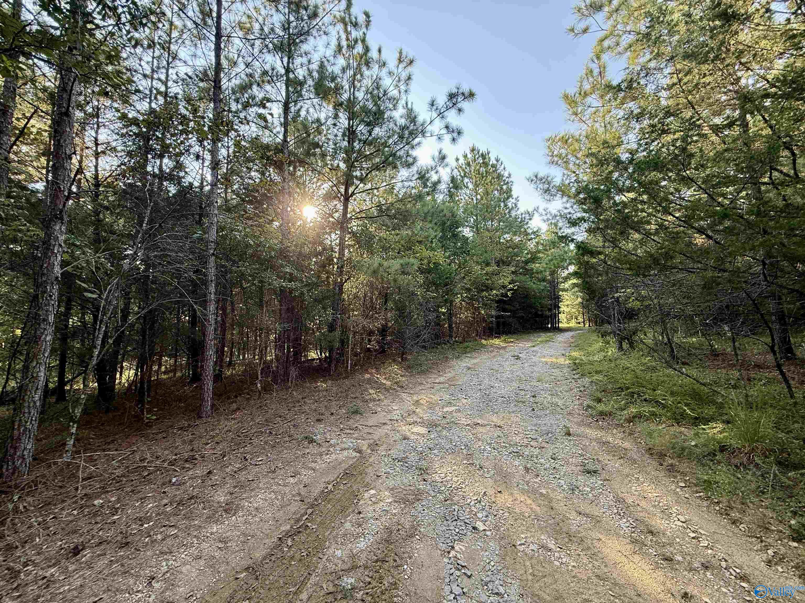 118 AC Pope Road