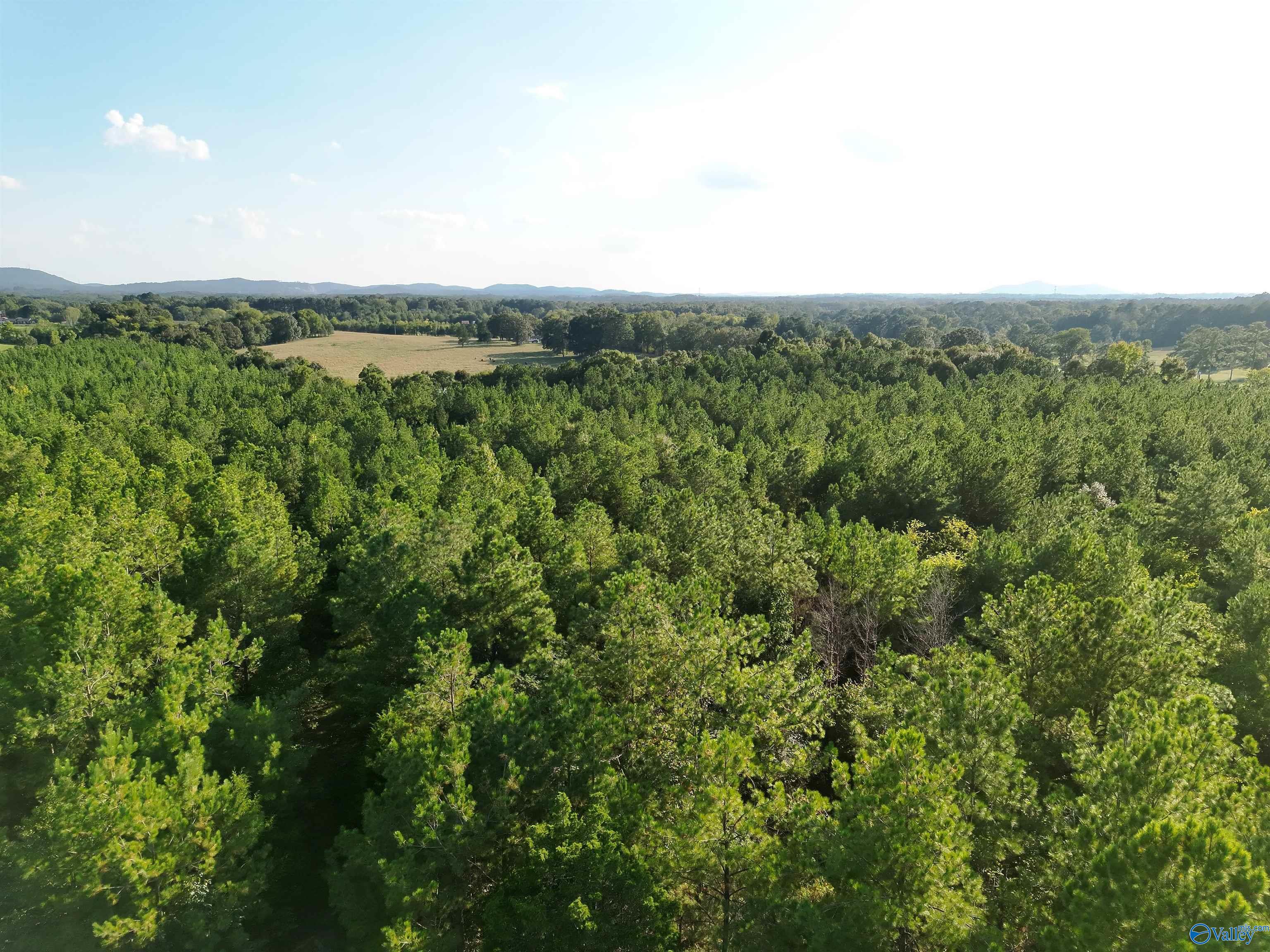 118 AC Pope Road