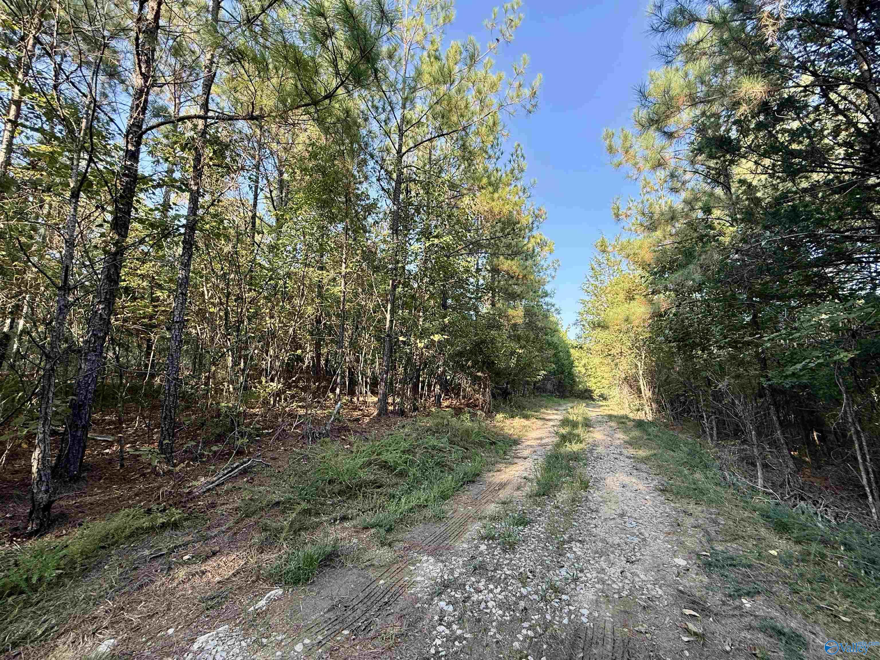 118 AC Pope Road