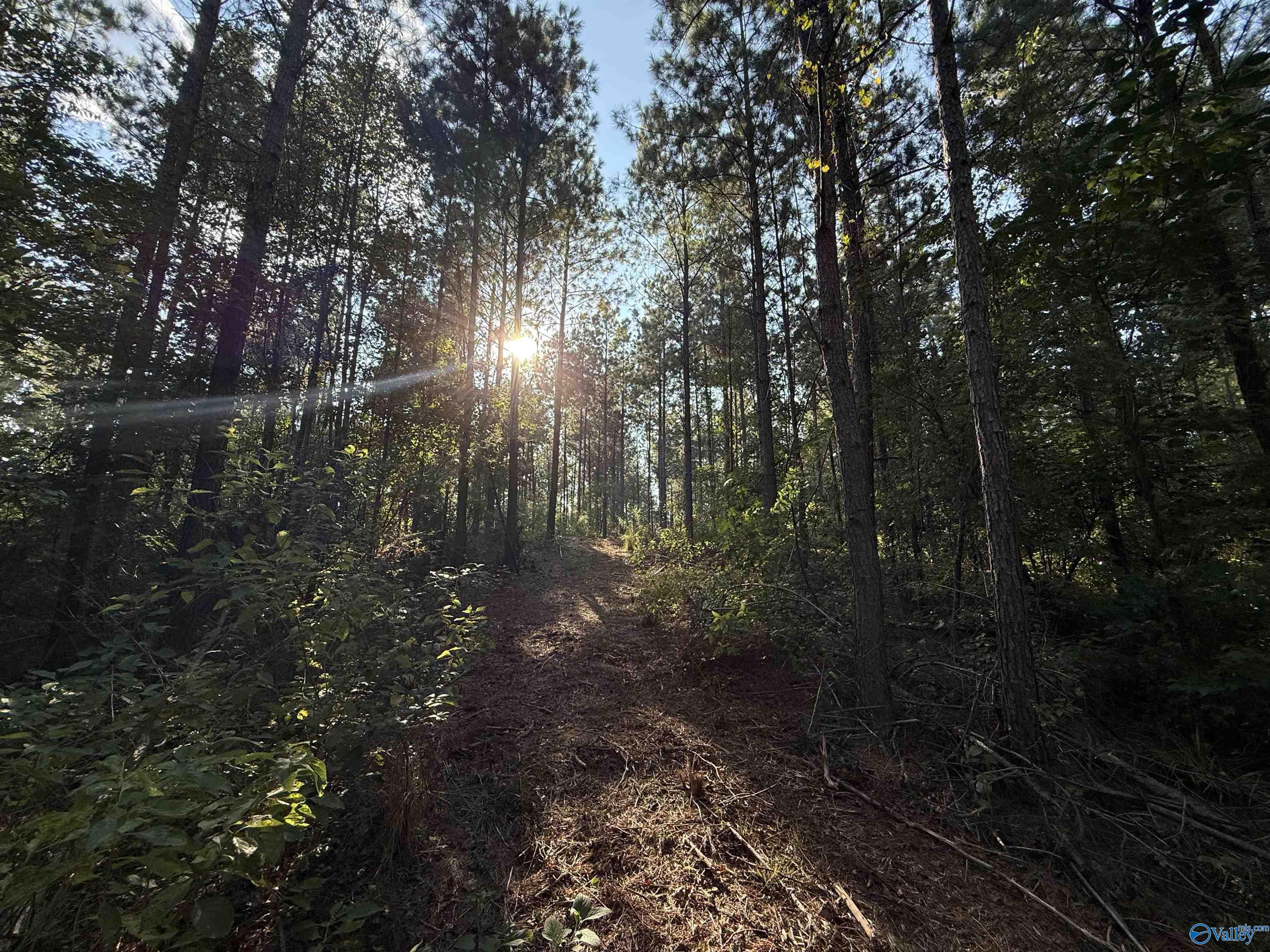 7 AC Rolling Hills Road