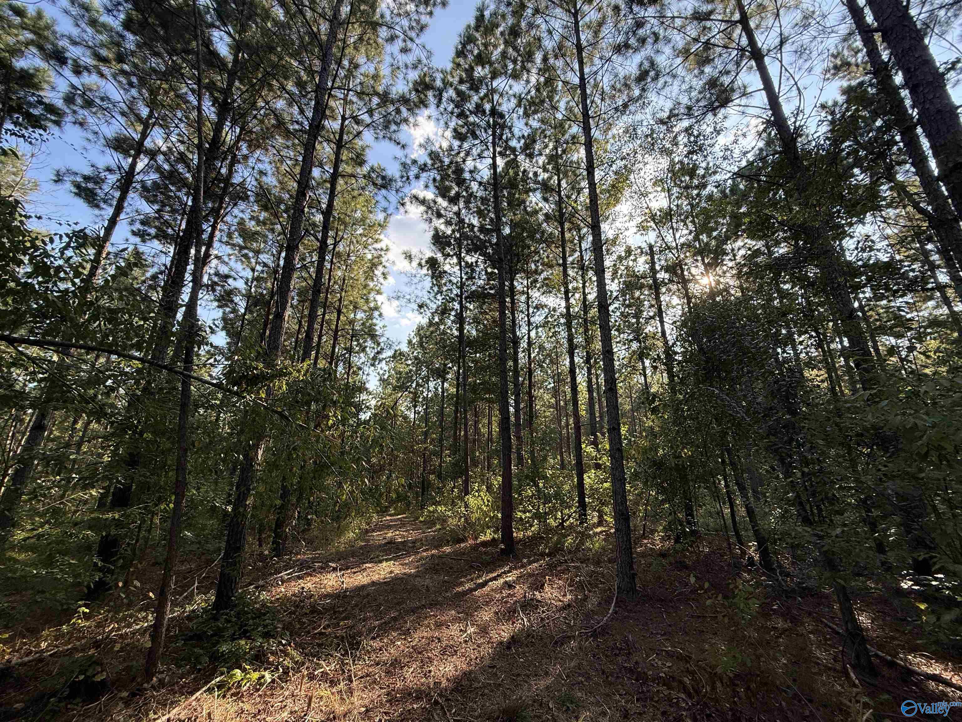 7 AC Rolling Hills Road