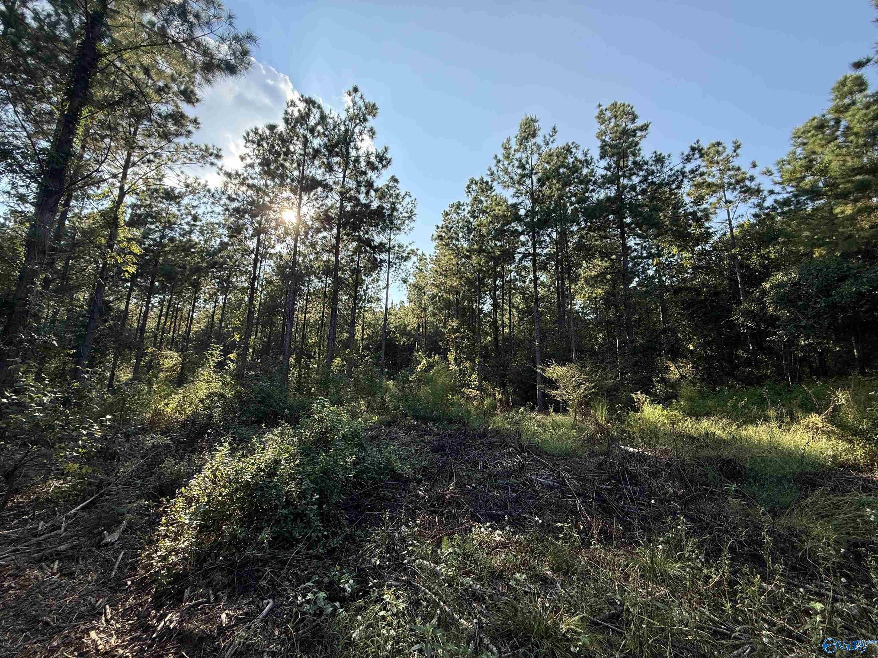 7 AC Rolling Hills Road