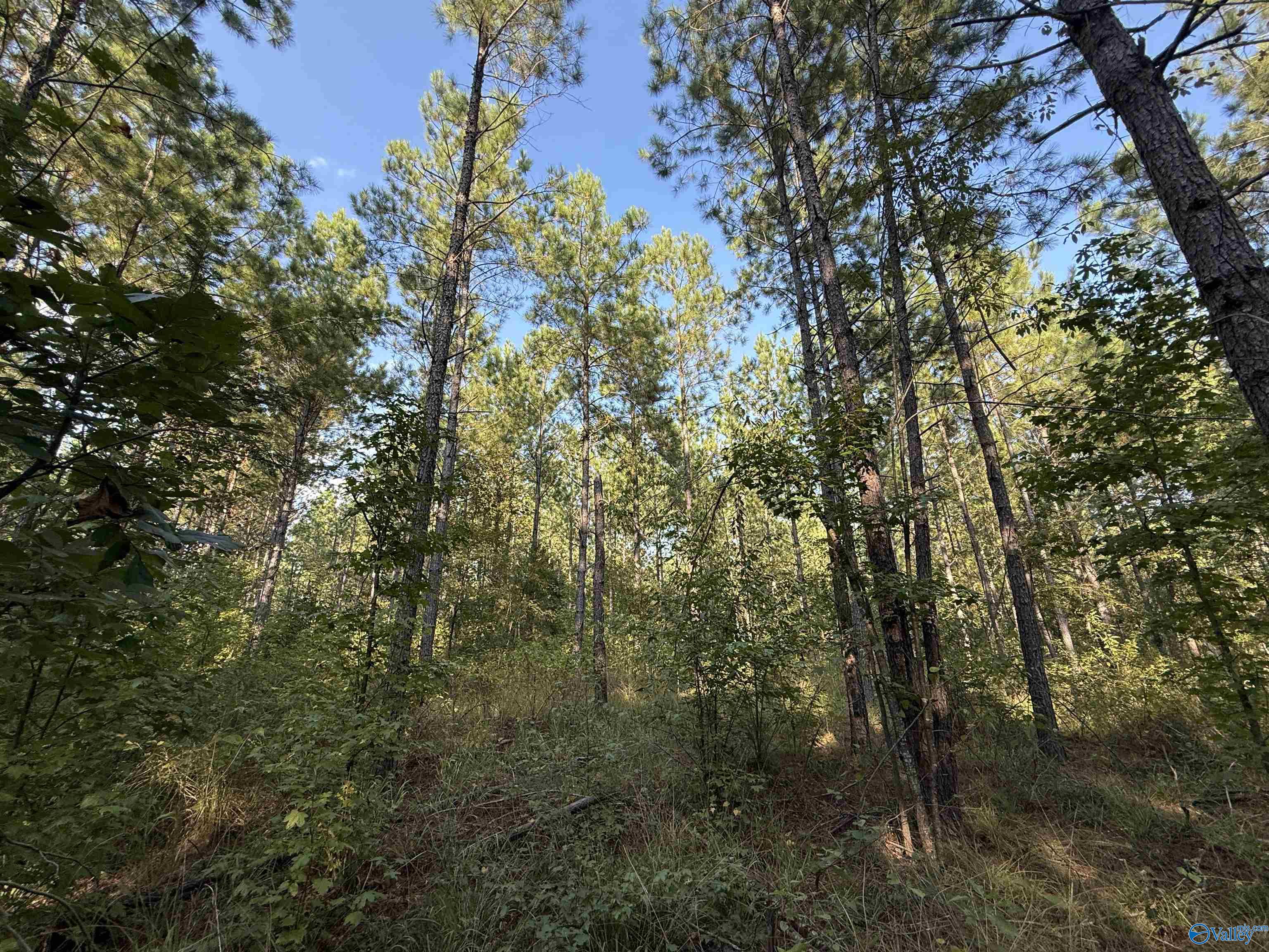 7 AC Rolling Hills Road