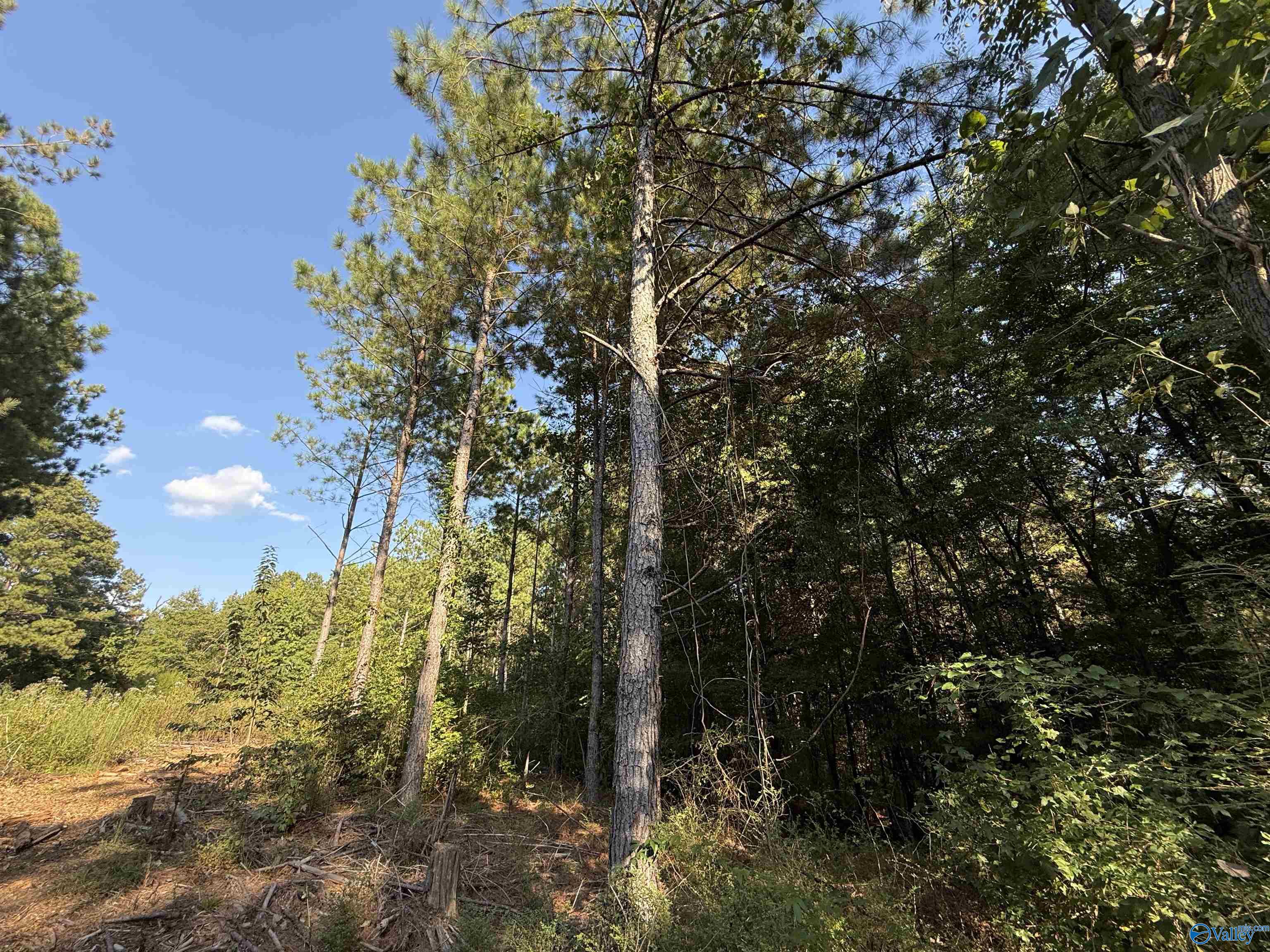 7 AC Rolling Hills Road