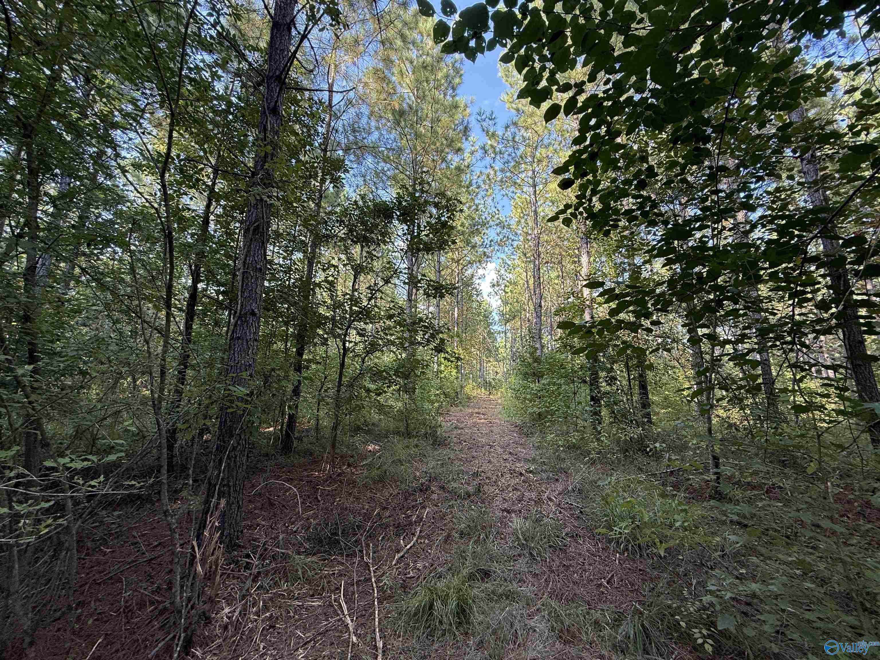 7 AC Rolling Hills Road