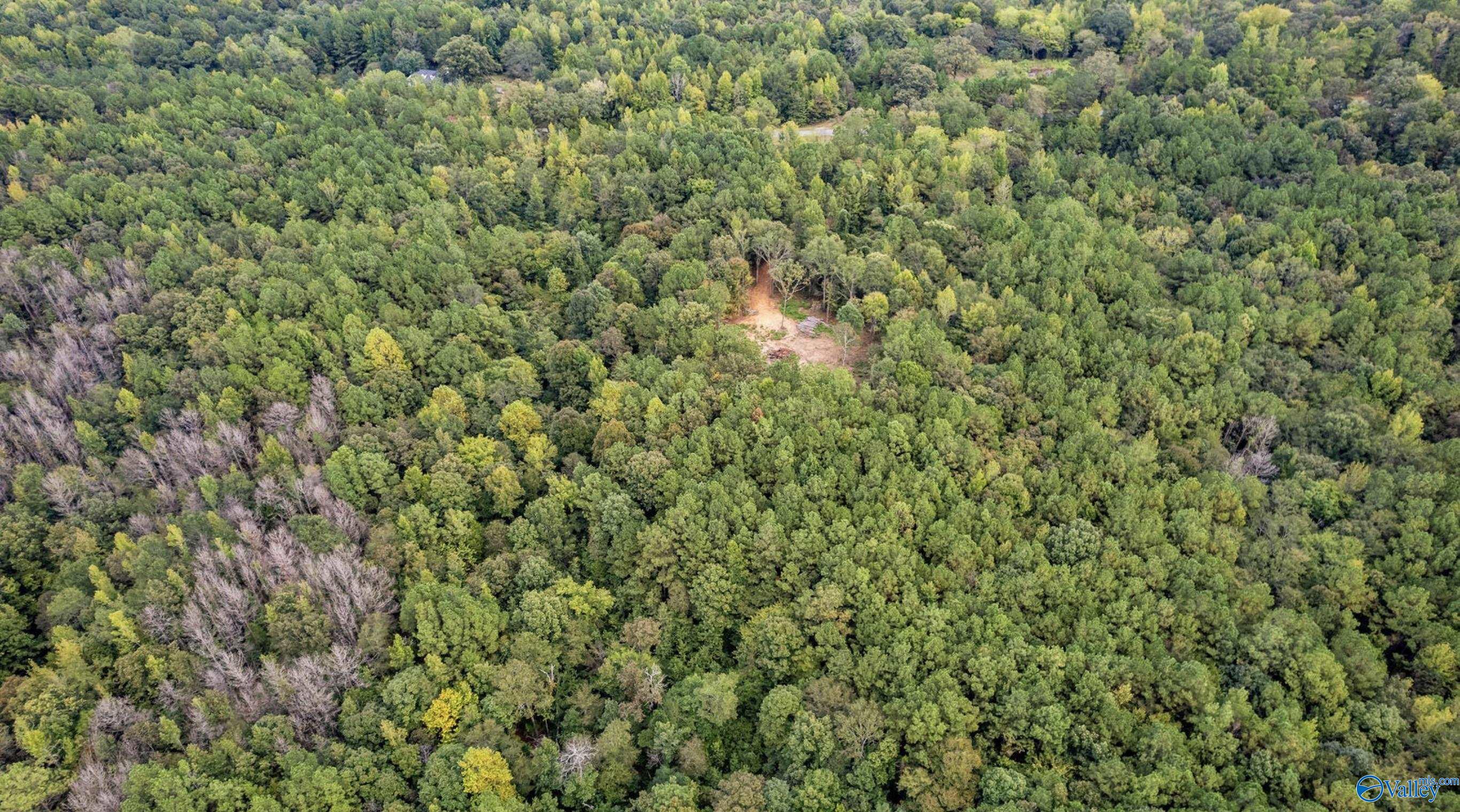 1696 Woods Bend Road
