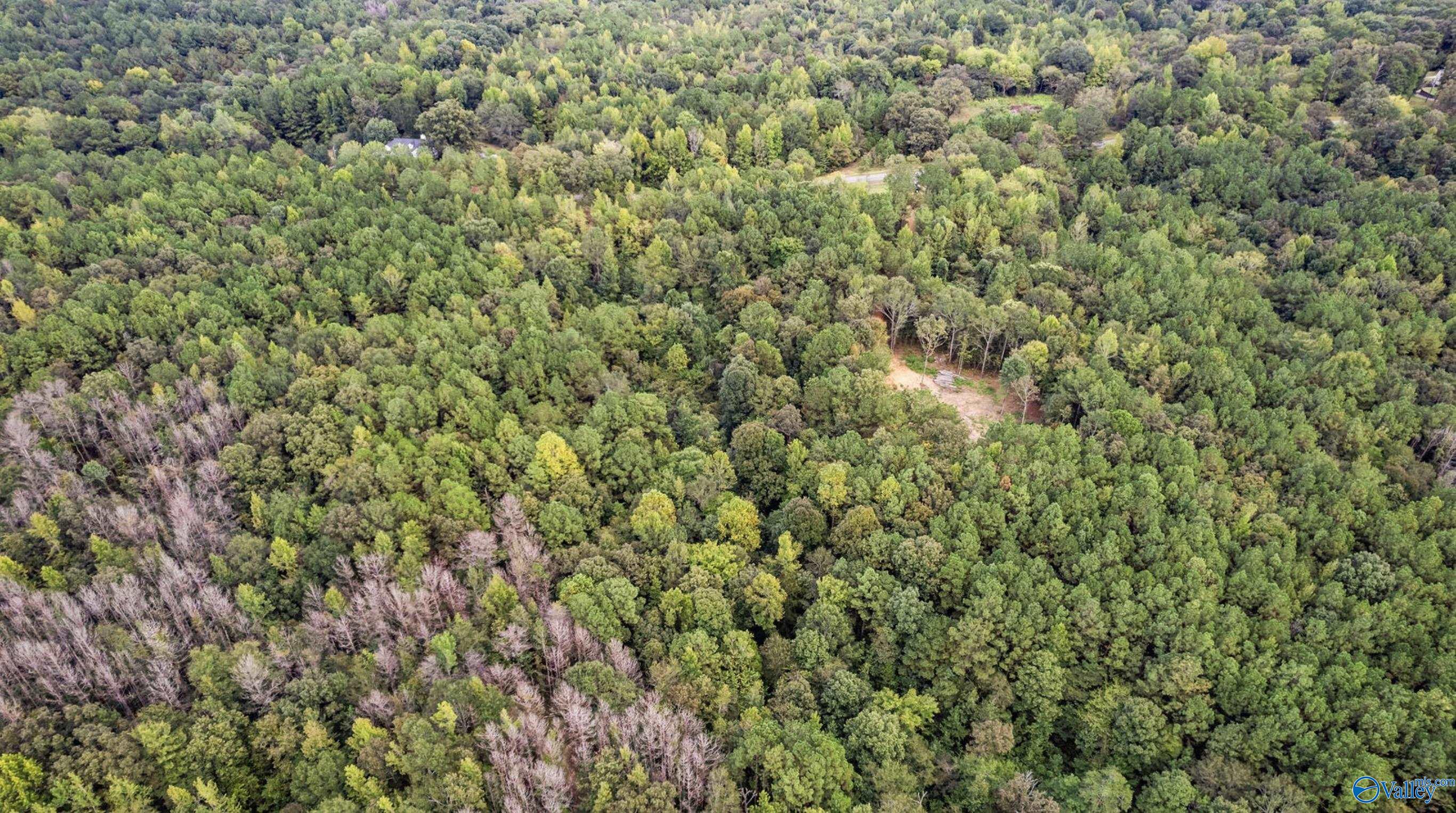 1696 Woods Bend Road