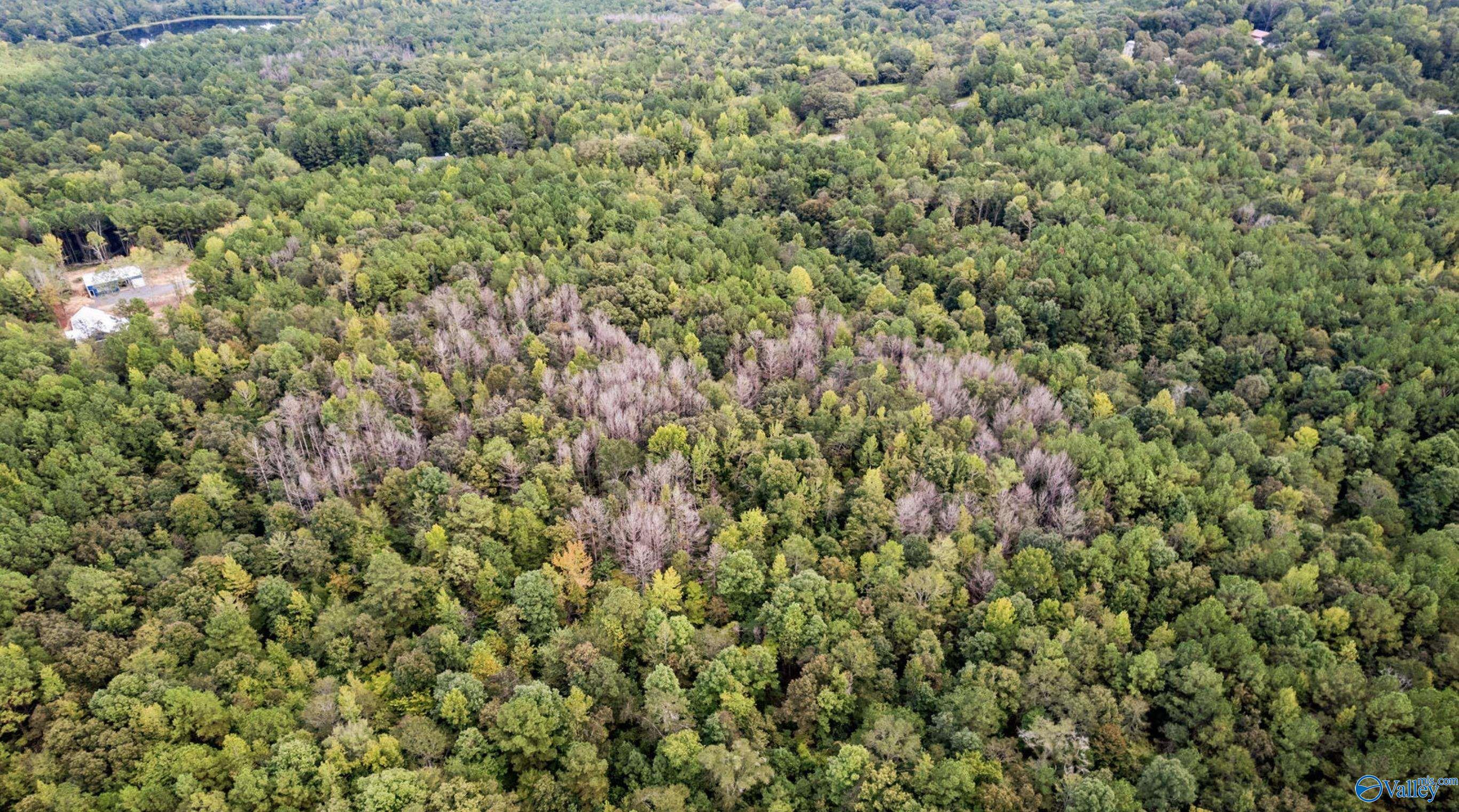 1696 Woods Bend Road