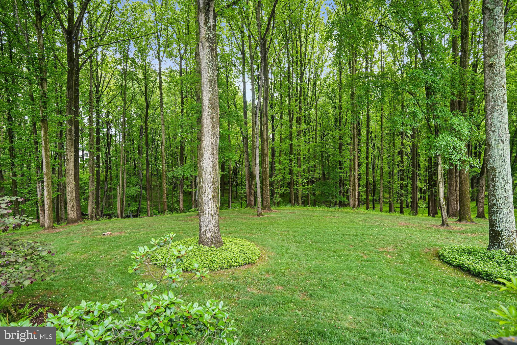 14900 Spring Meadows Dr