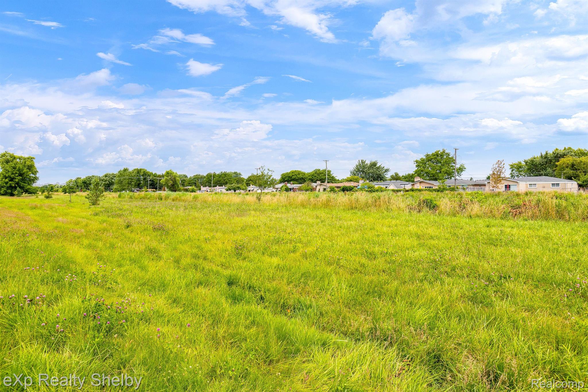 12223 BROUGHAM Drive