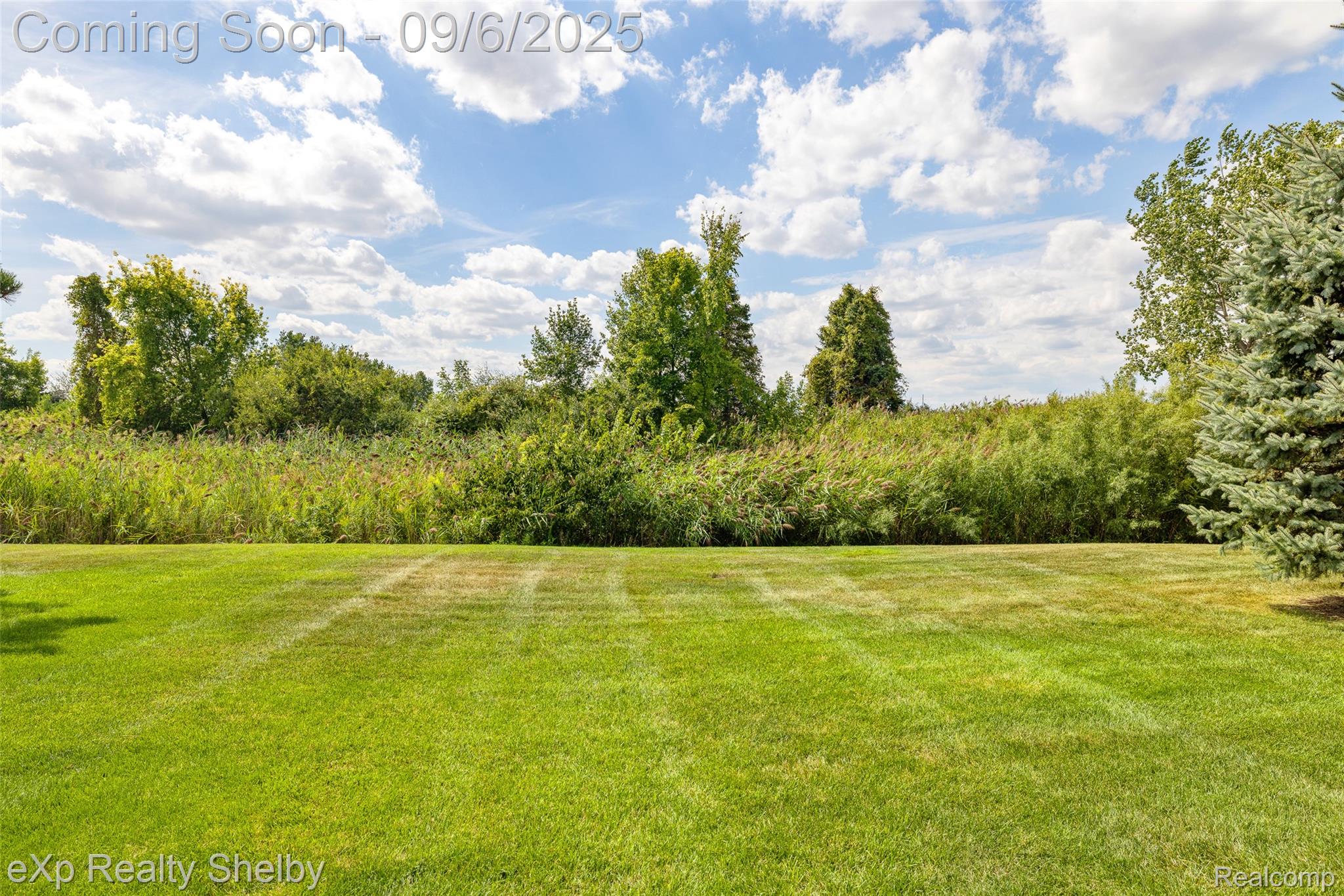 50165 Pepper Tree Drive 52