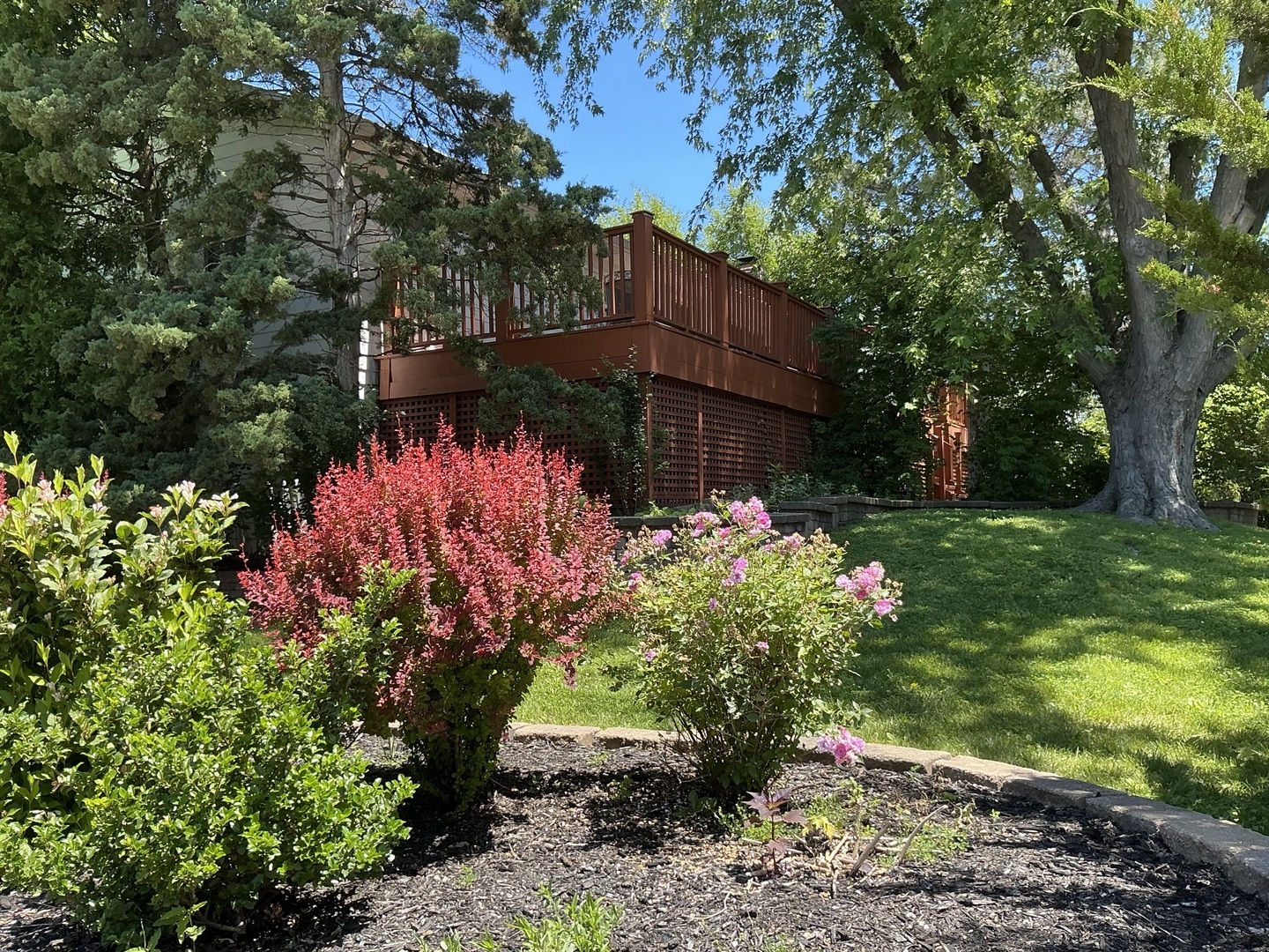 881 Woodhollow Lane