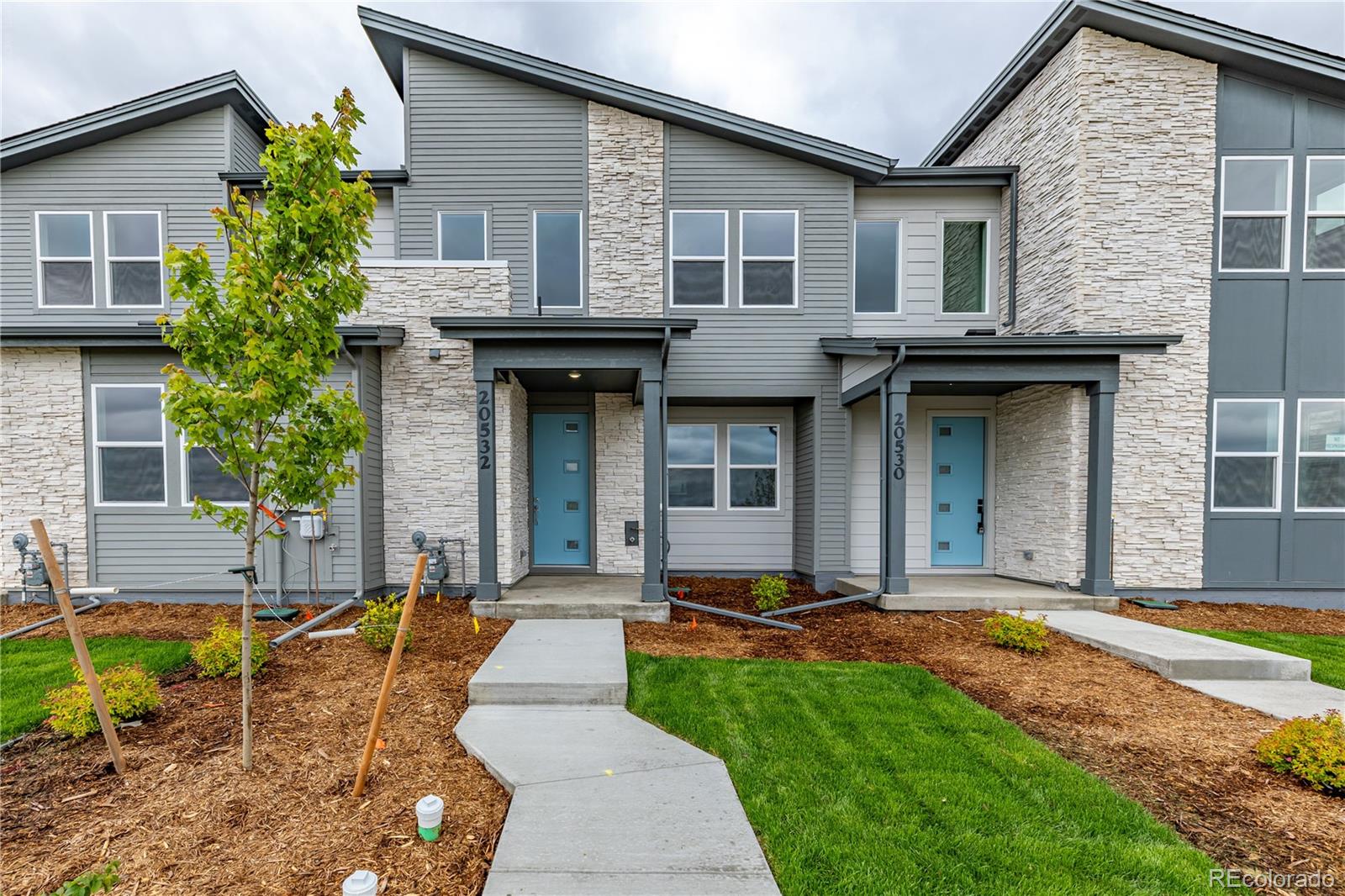 Modern gray home with stone accents, a blue front door, and a landscaped walkway.