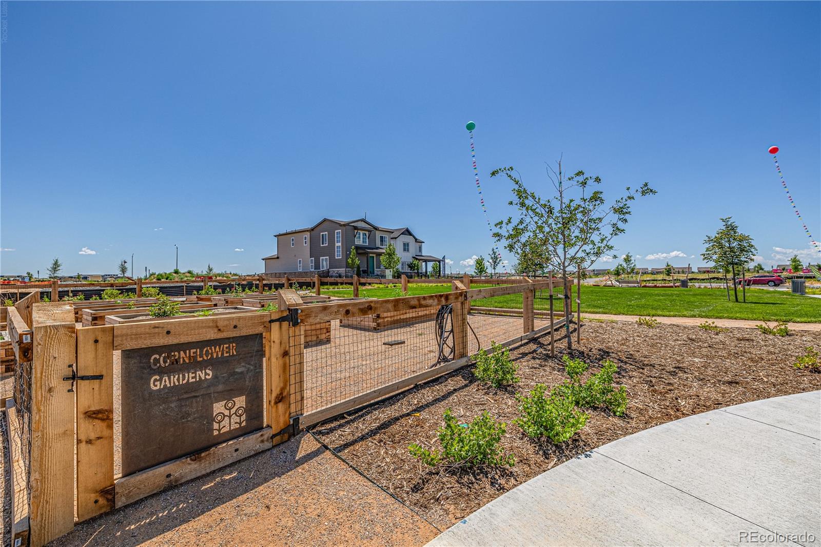 Community garden with raised wooden beds, lawn, and a home beyond.