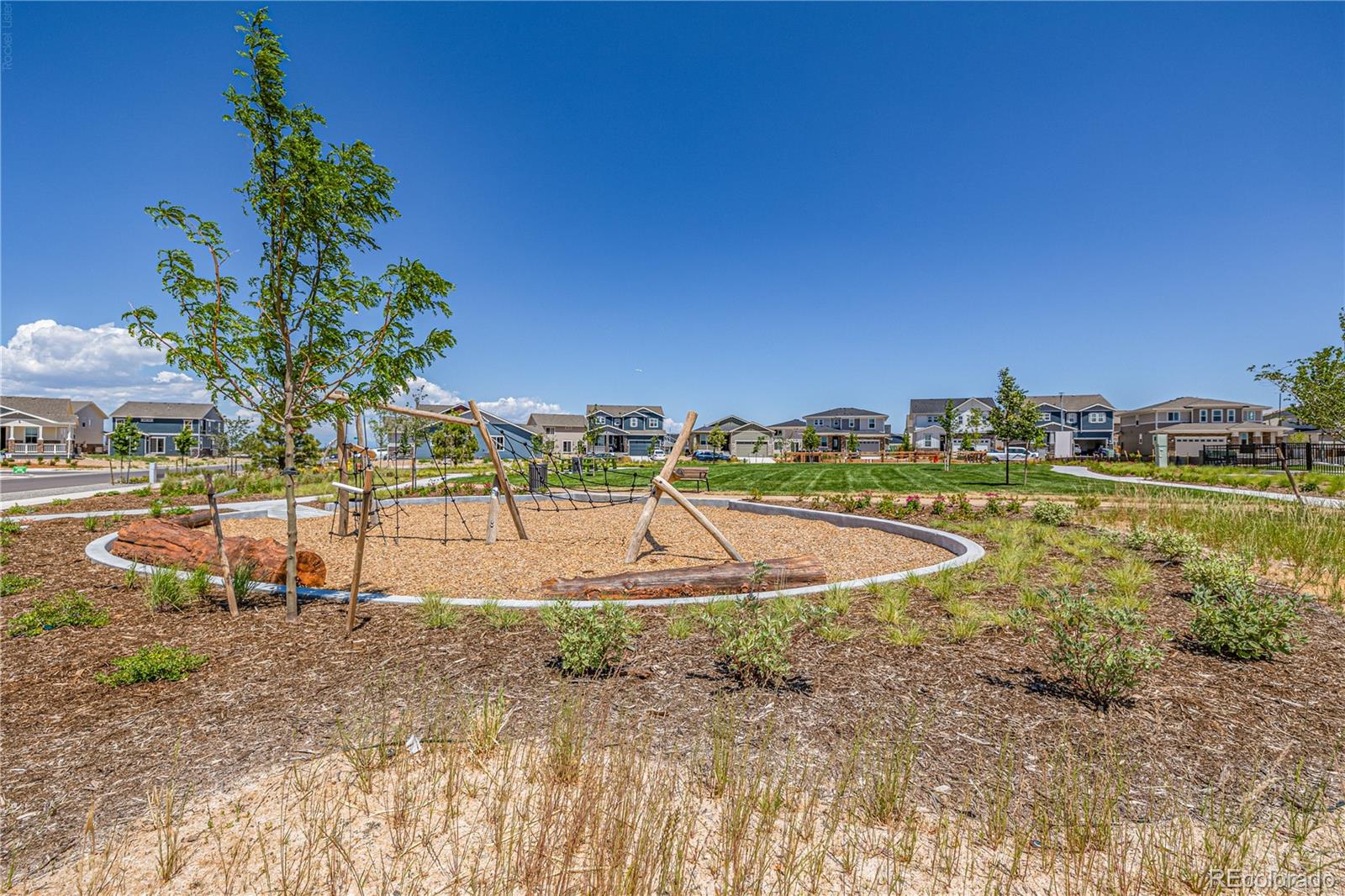 Neighborhood playground with rope climbing equipment, wood-chip surfacing, and homes in the background.