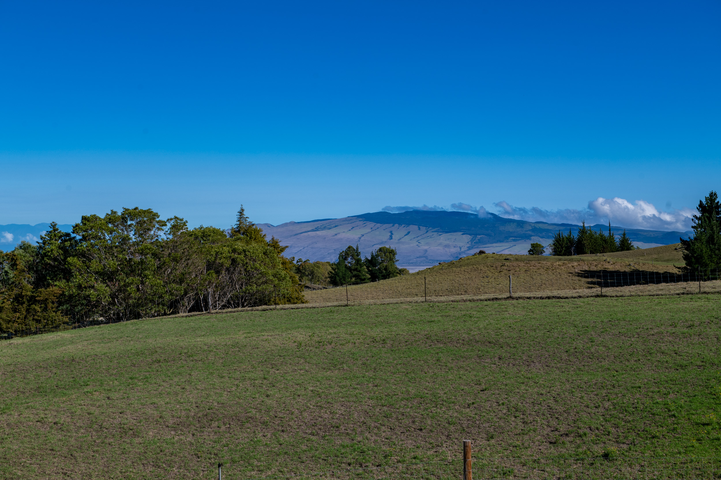 Luxury Equestrian Property with Panoramic Ocean & Mountain Views