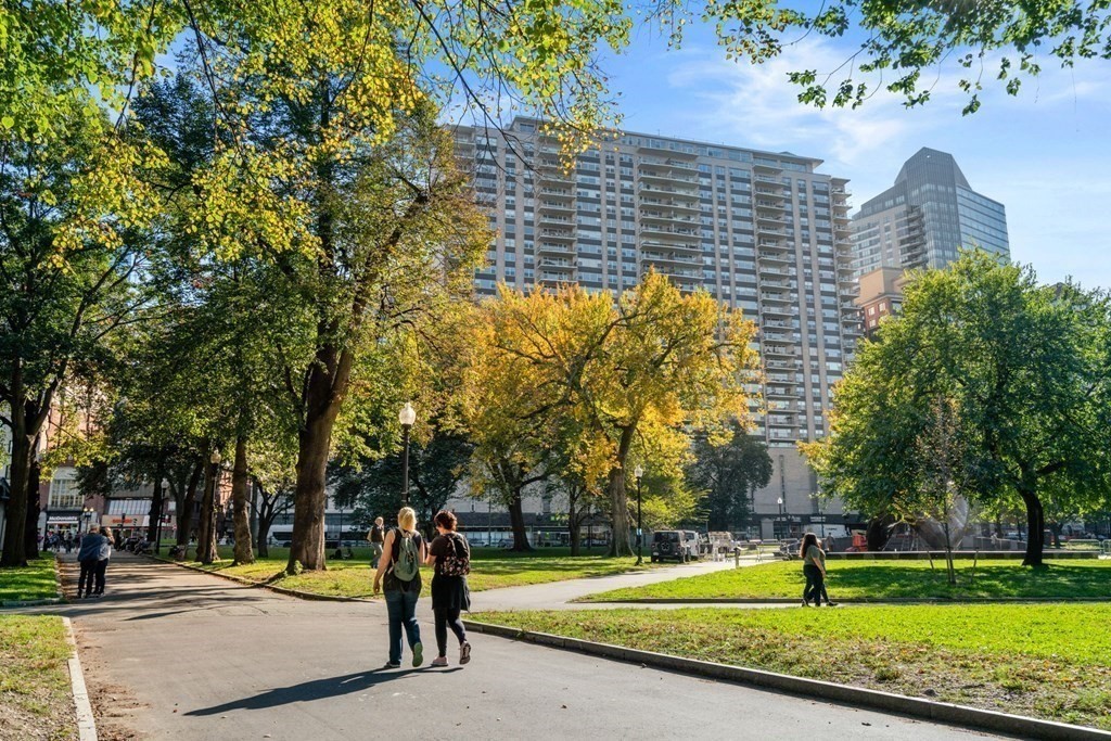 151 Tremont Street Unit: 14A