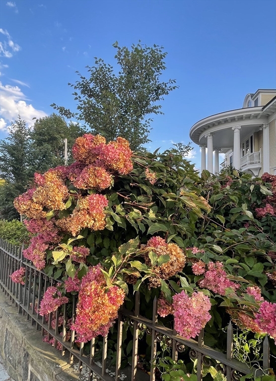 62 Pond Street # 2