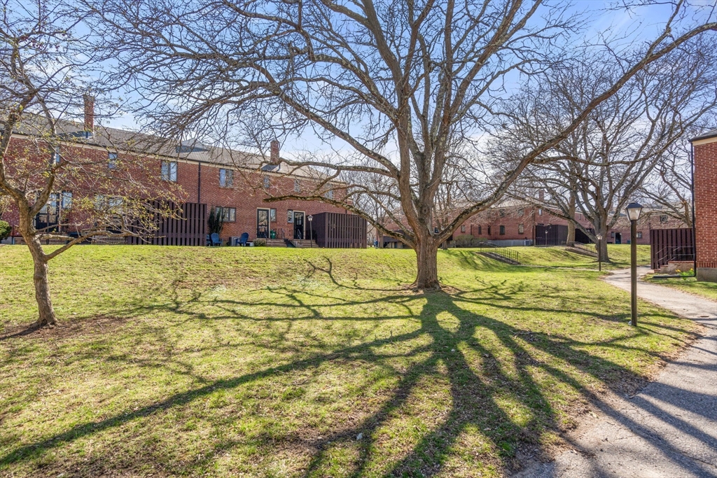 38 Grant Ave # 38
