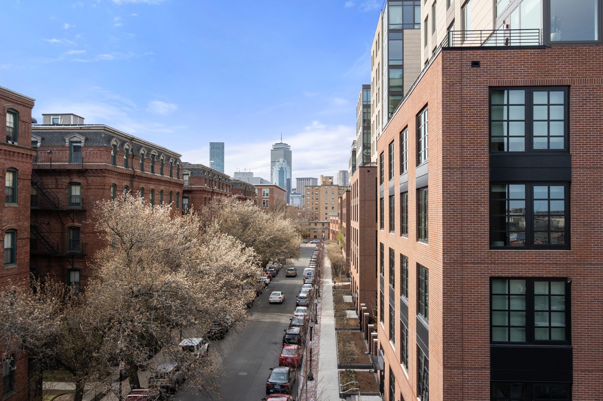 595 Albany Street # 502