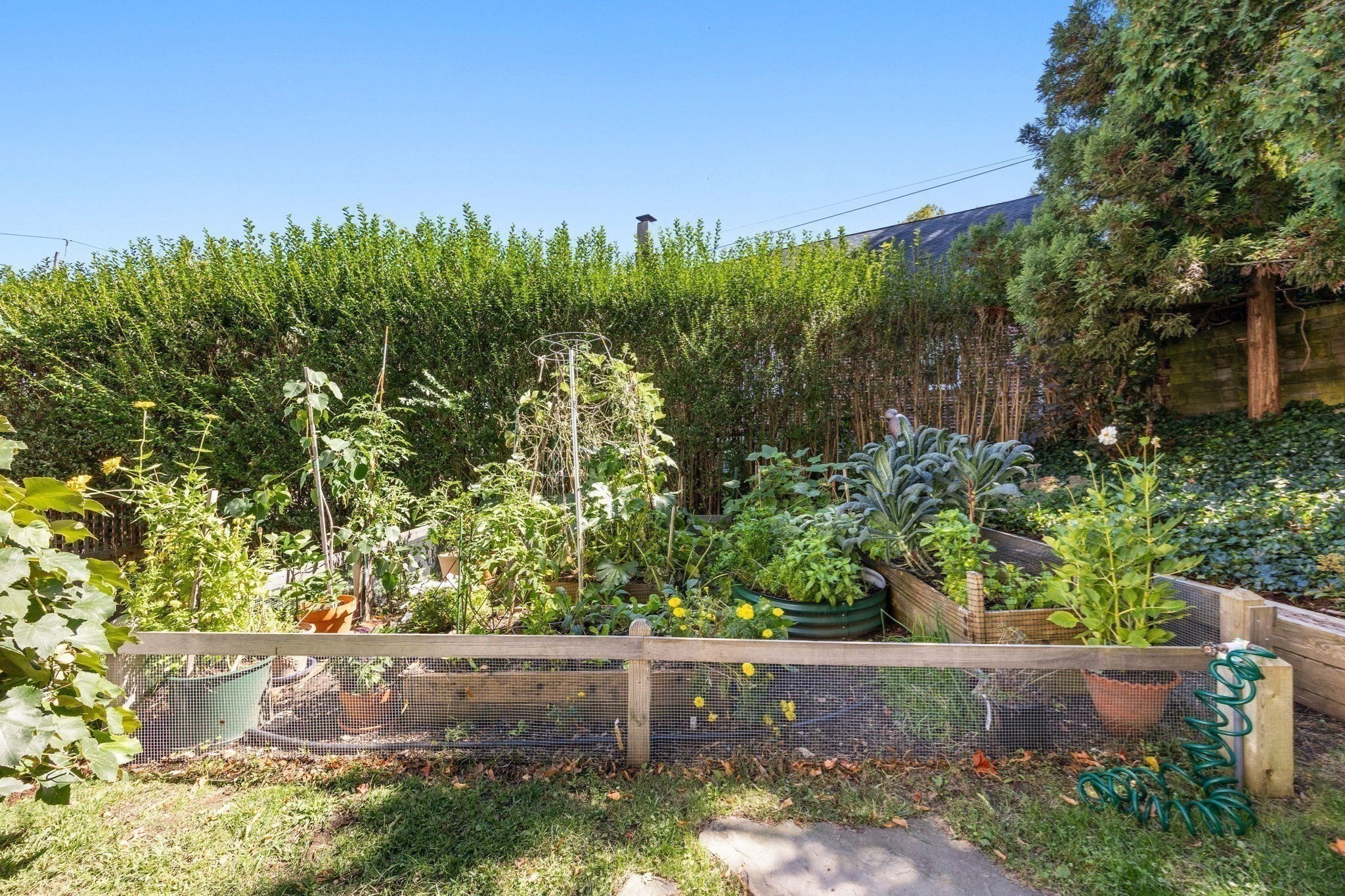 31 Moss Hill Road