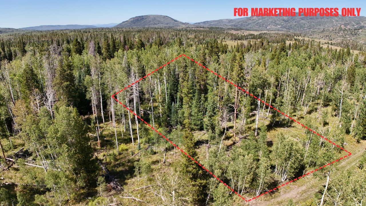 Lot 81 South Station I