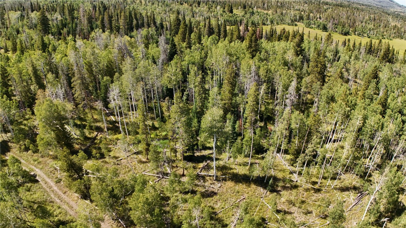 Lot 81 South Station I