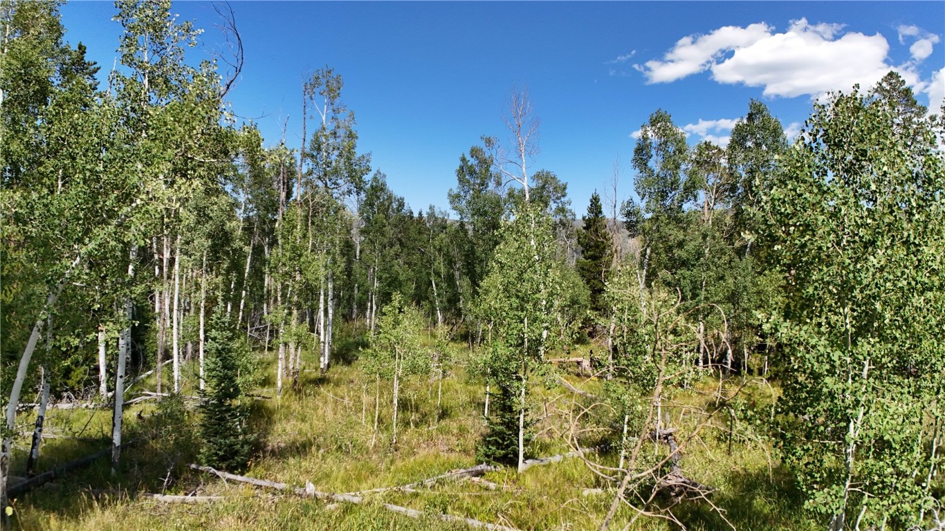 Lot 81 South Station I