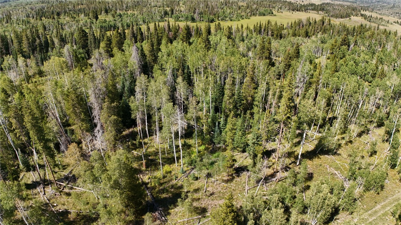 Lot 81 South Station I