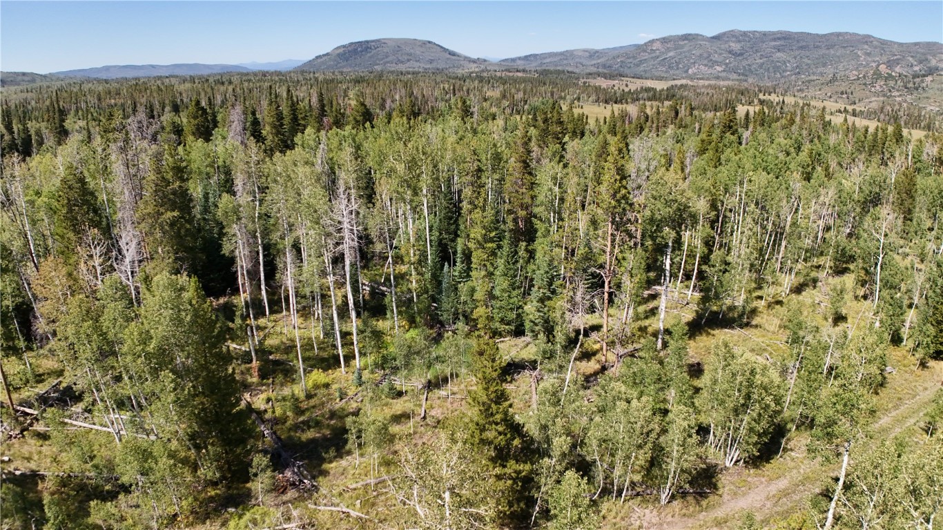 Lot 81 South Station I