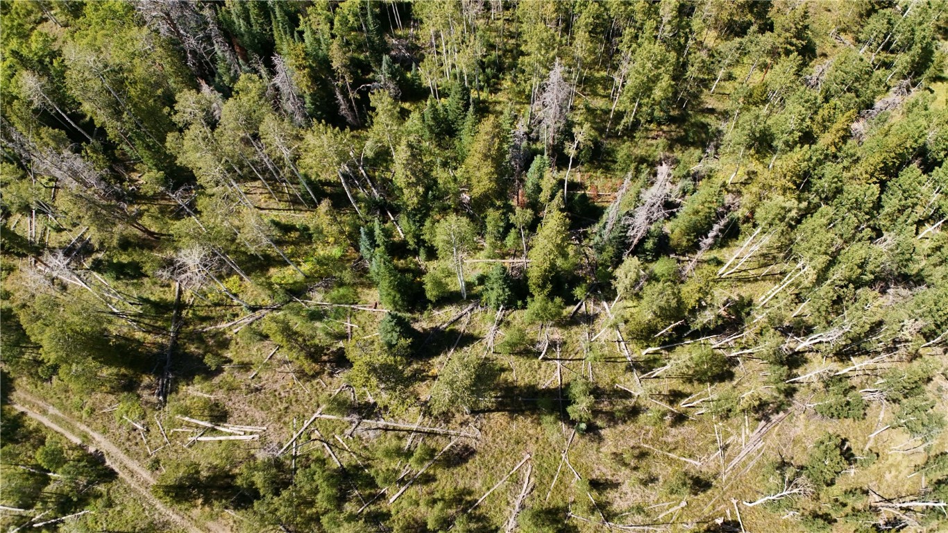 Lot 81 South Station I