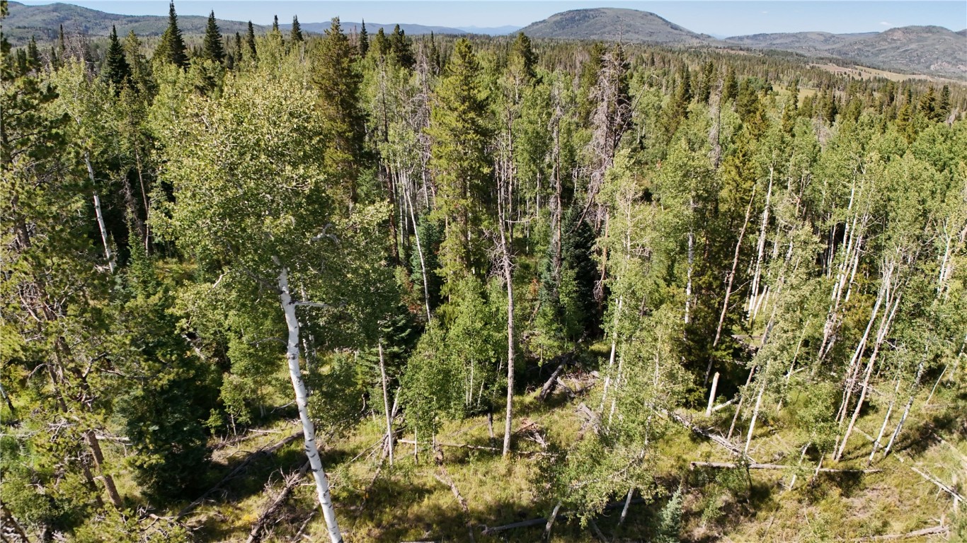 Lot 81 South Station I