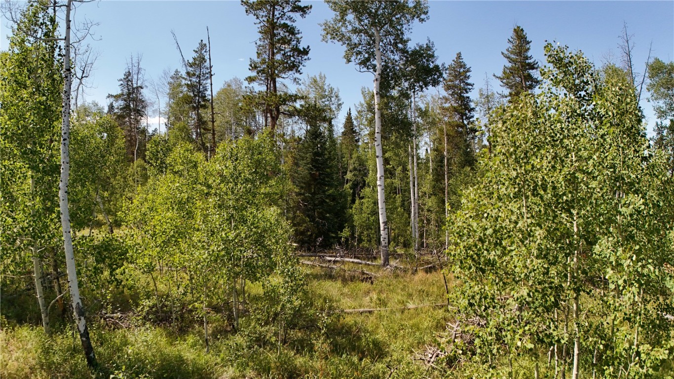 Lot 81 South Station I