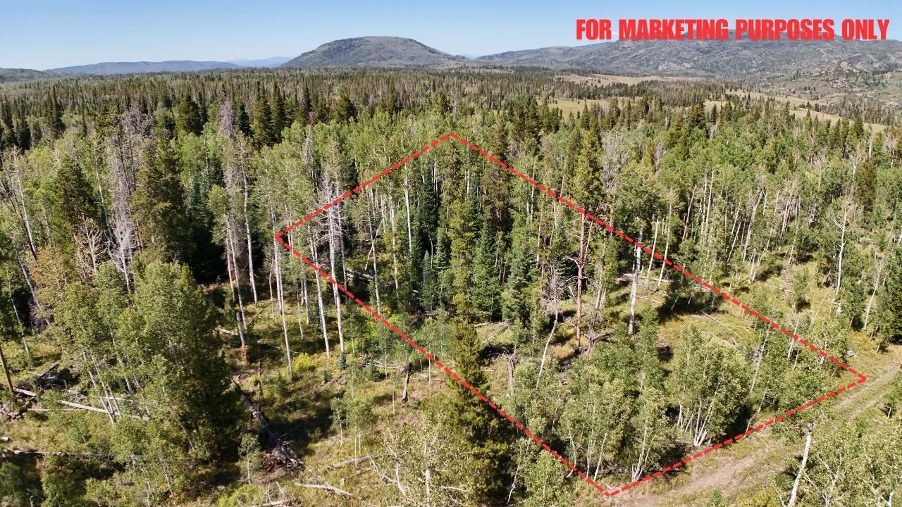 Lot 81 South Station I