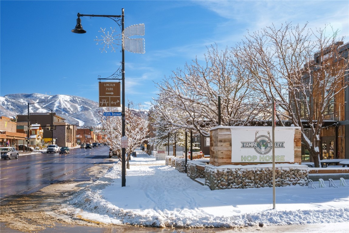 1125 Lincoln AVENUE 100