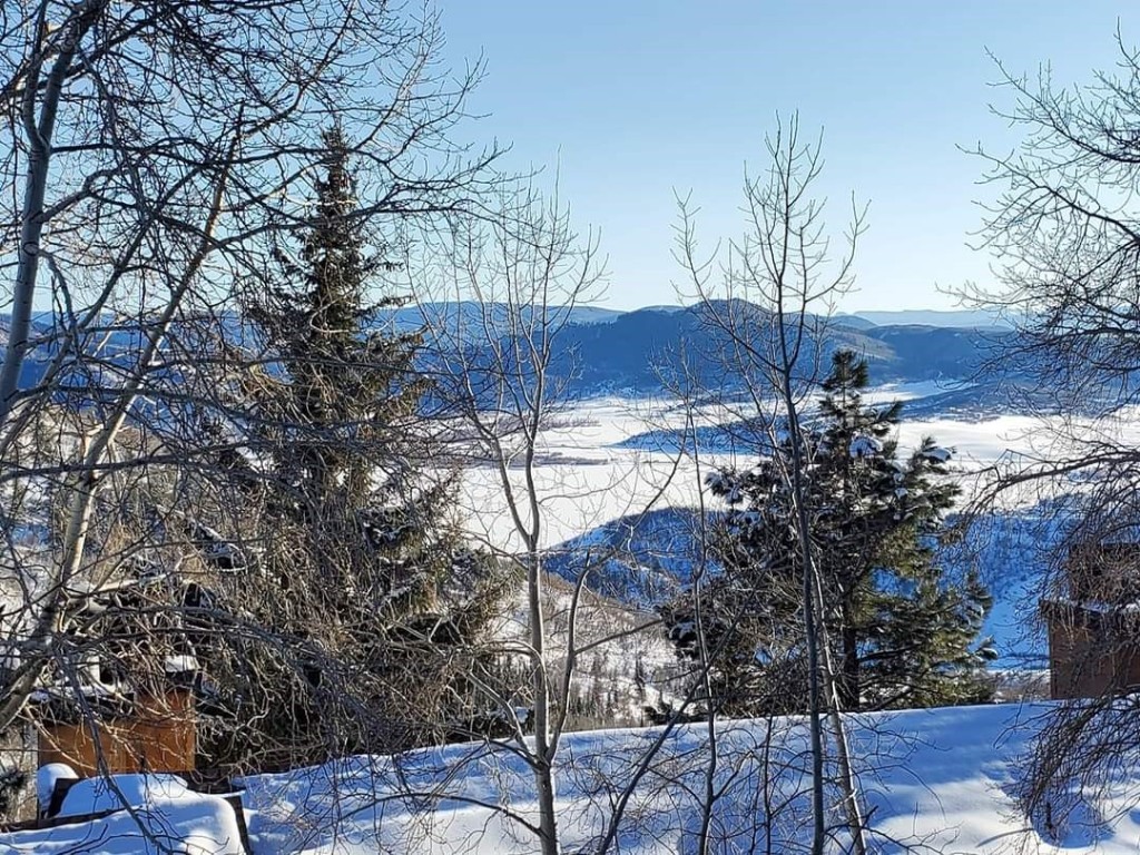 31500 Runaway PLACE 310