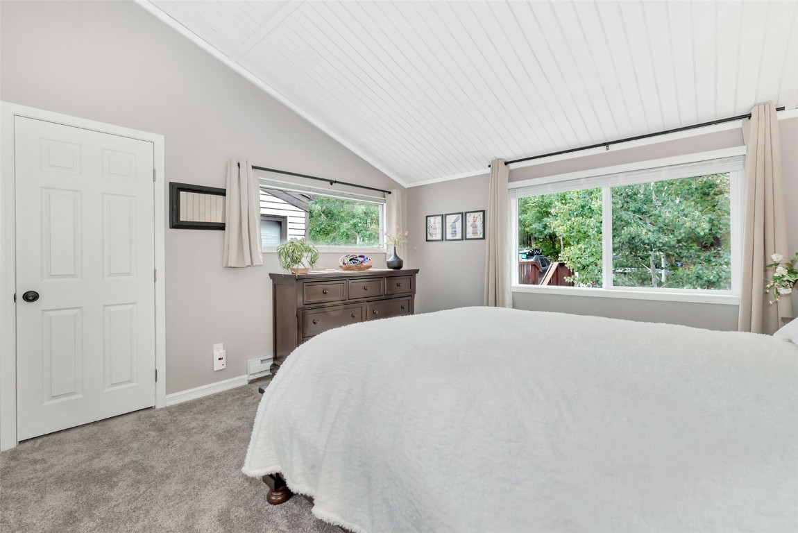 23045 Schussmark TRAIL C