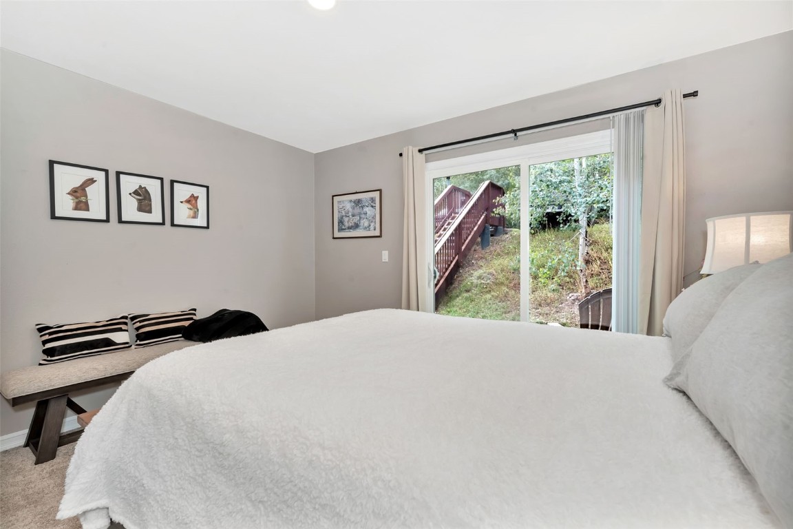 23045 Schussmark TRAIL C