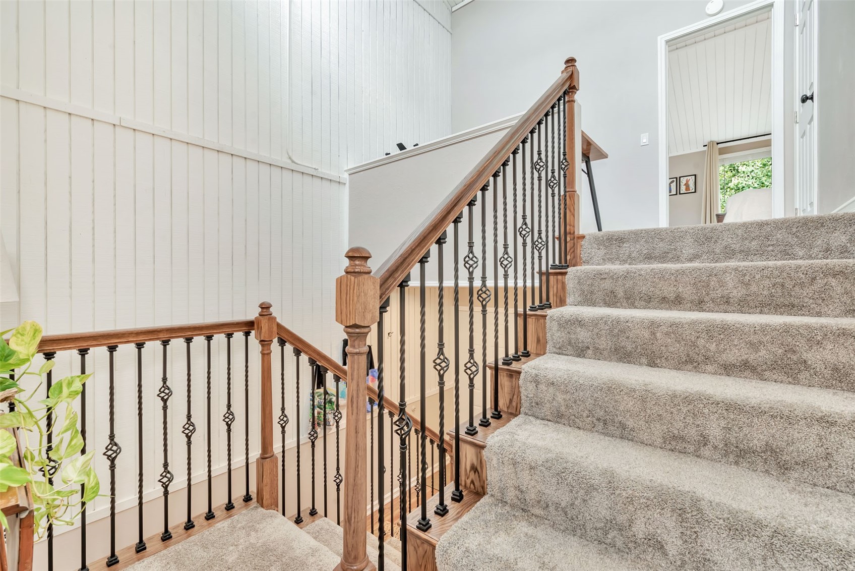 23045 Schussmark TRAIL C