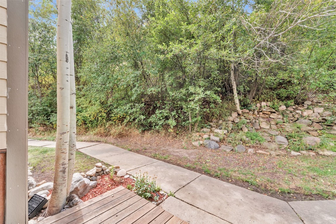 23045 Schussmark TRAIL C