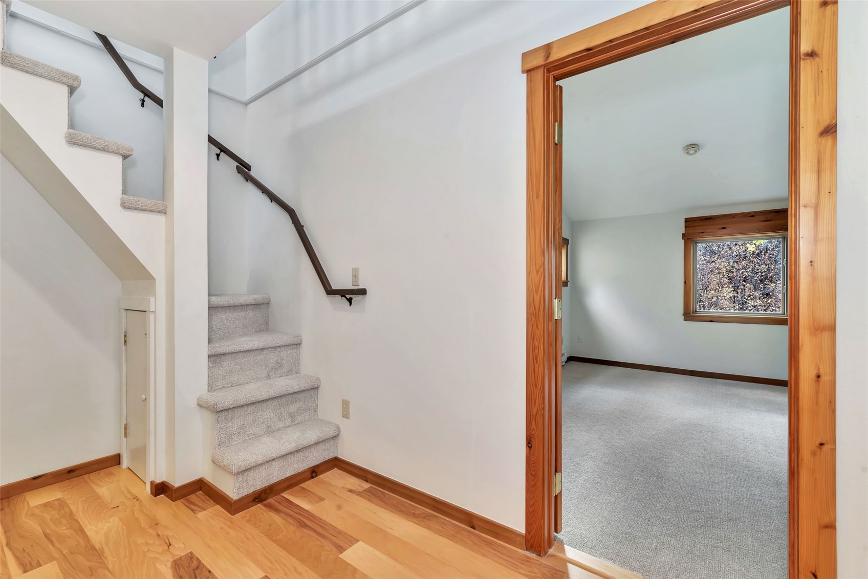 23050 Schussmark TRAIL E